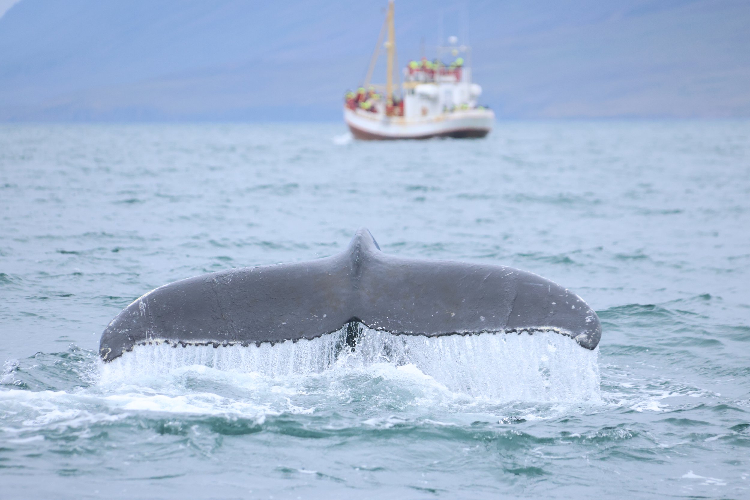 Wednesday, 4 September 2024
