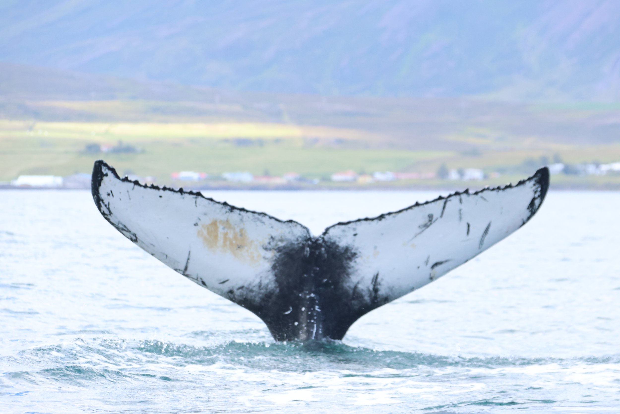 Friday, 6 September 2024