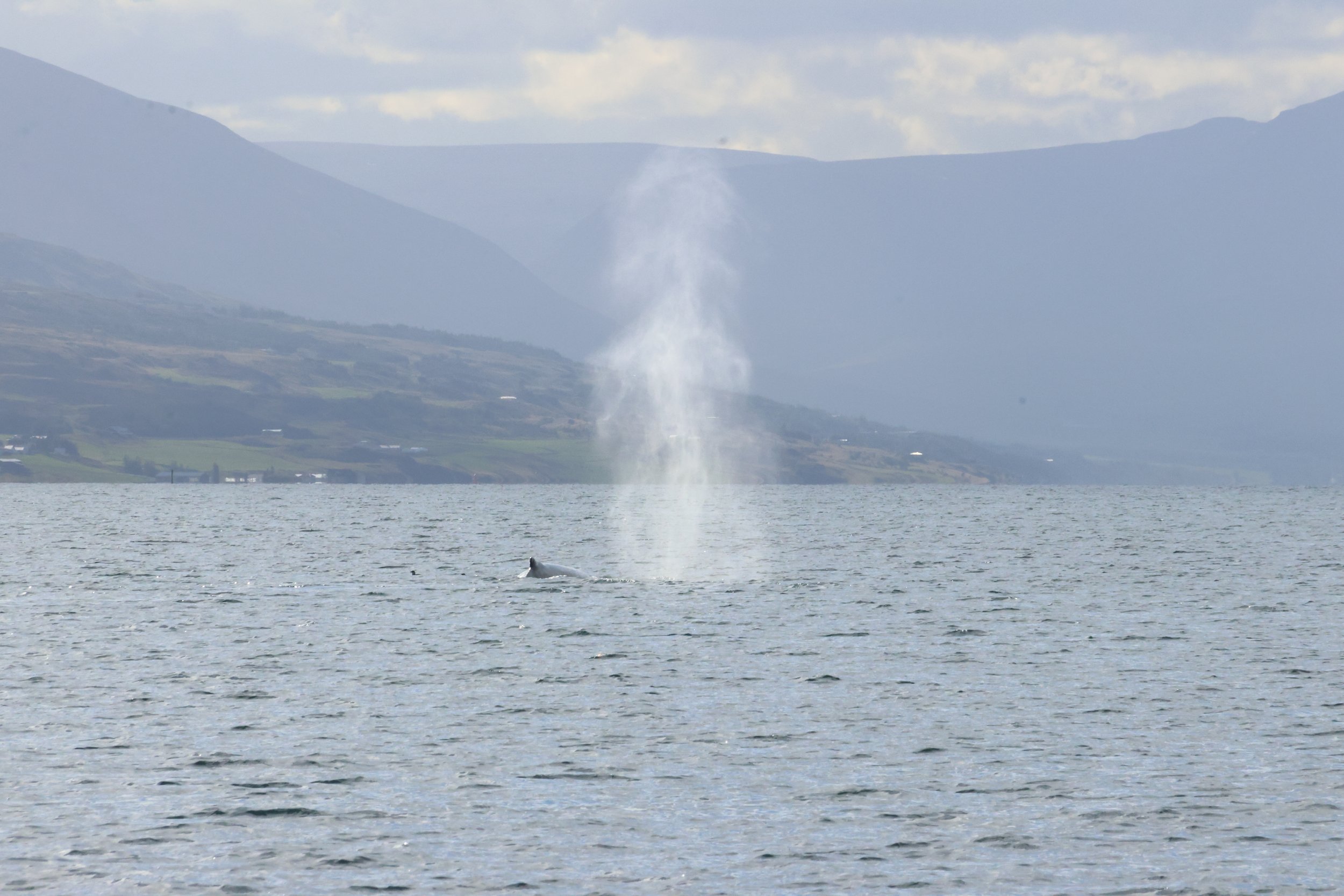 Sunday, 8 September 2024