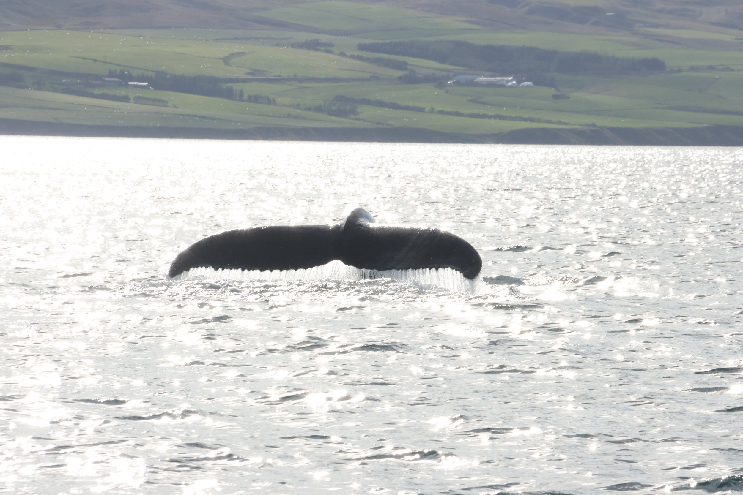 Sunday, 8 September 2024