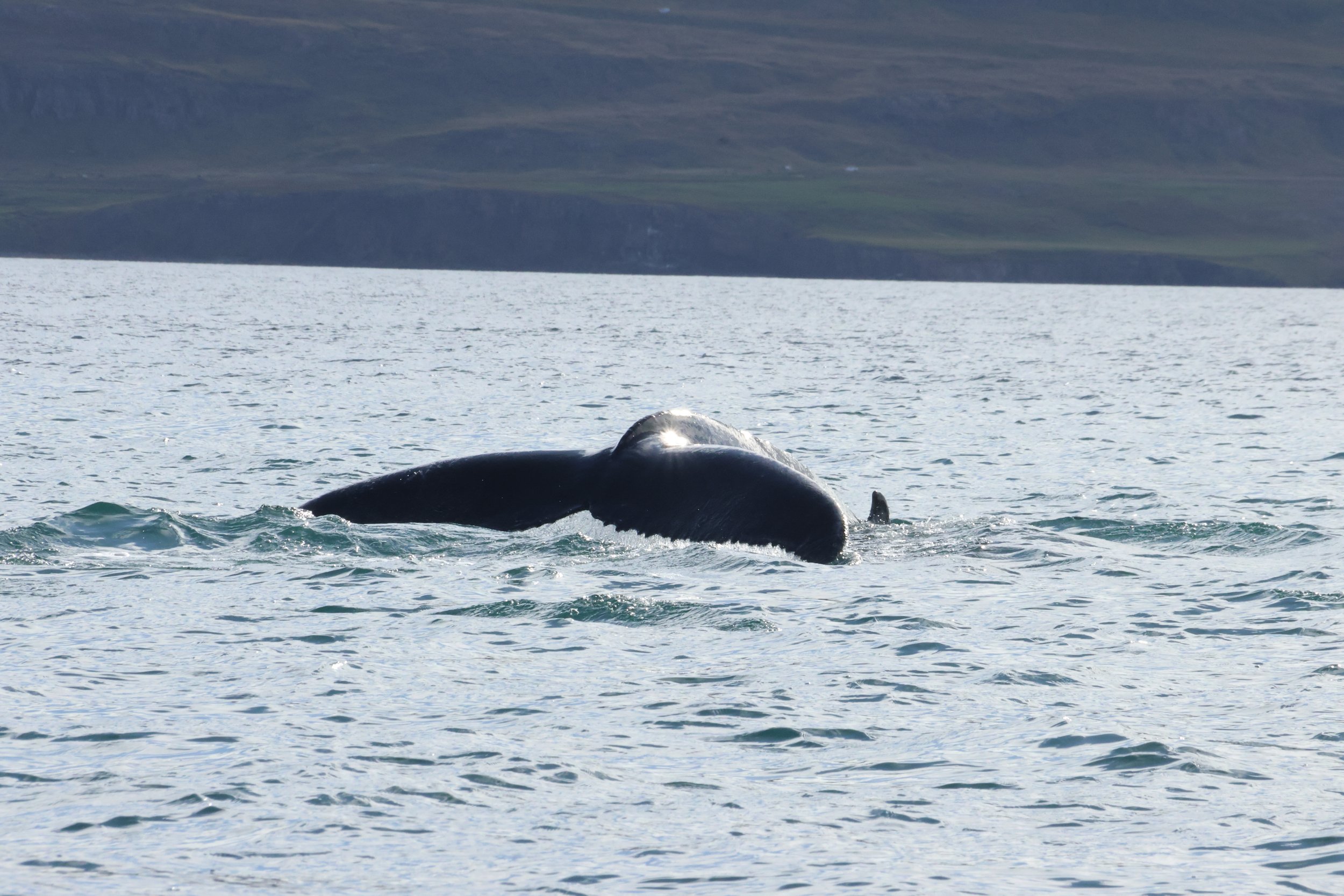 Sunday, 8 September 2024