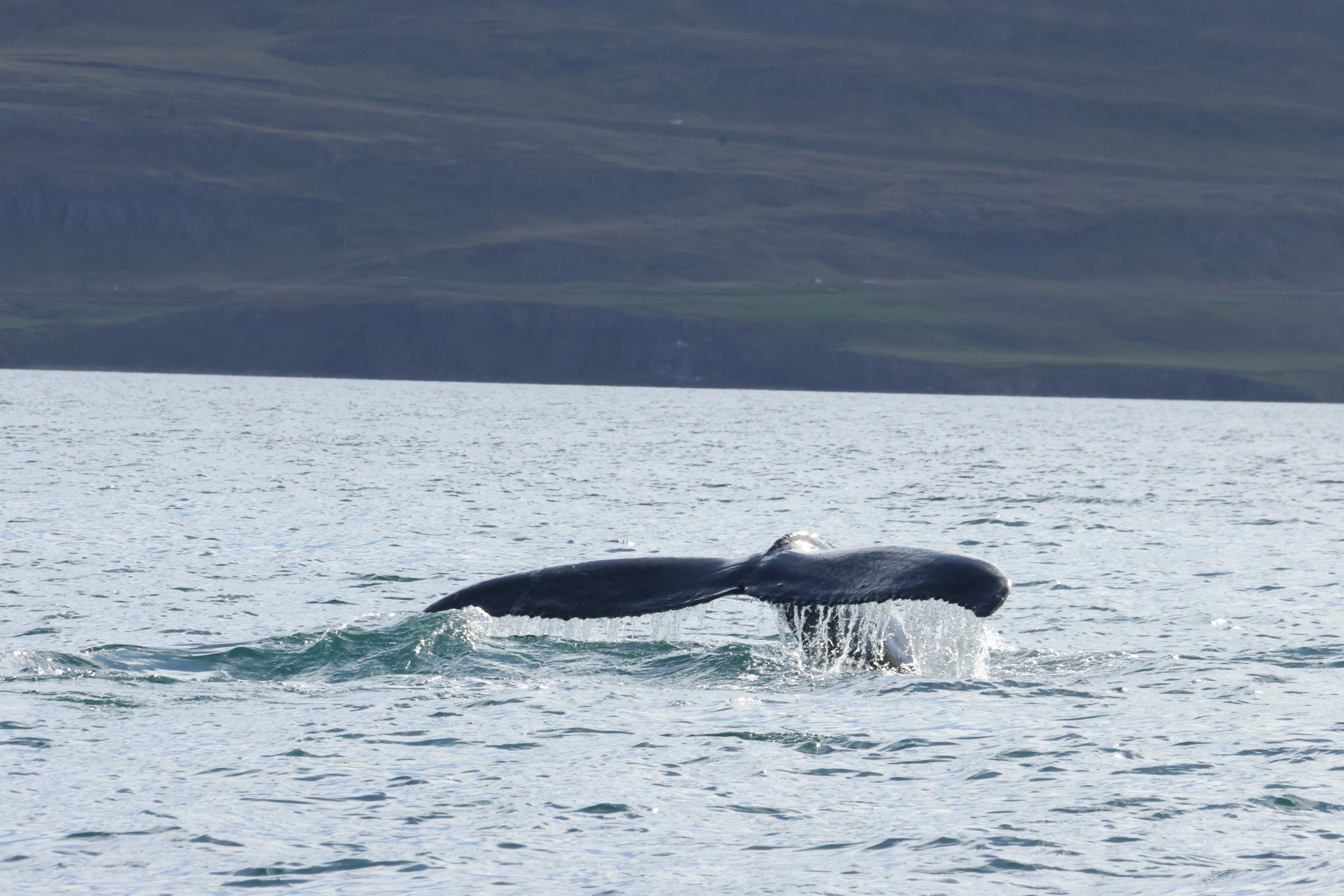 Sunday, 8 September 2024