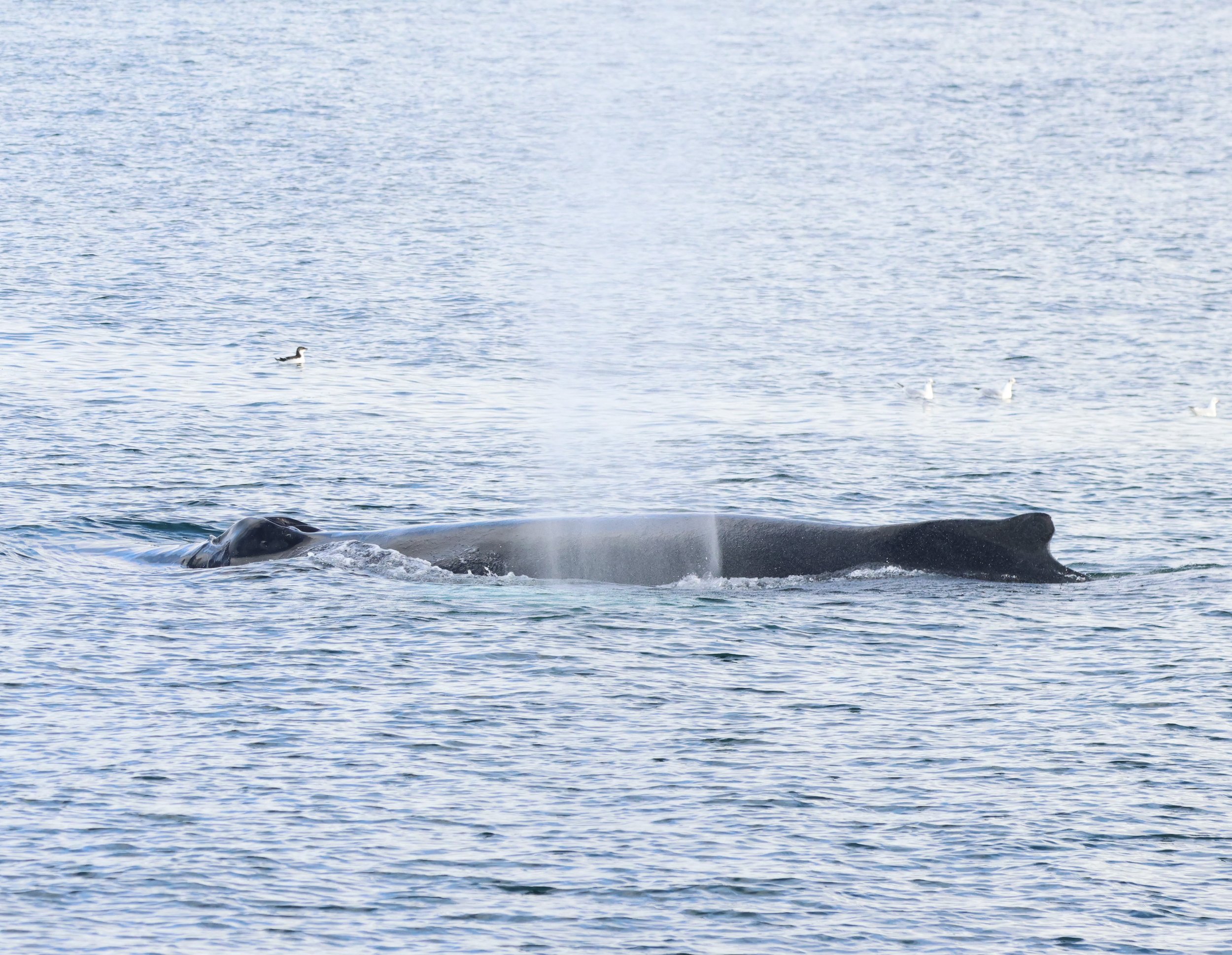 Tuesday, 17 September 2024