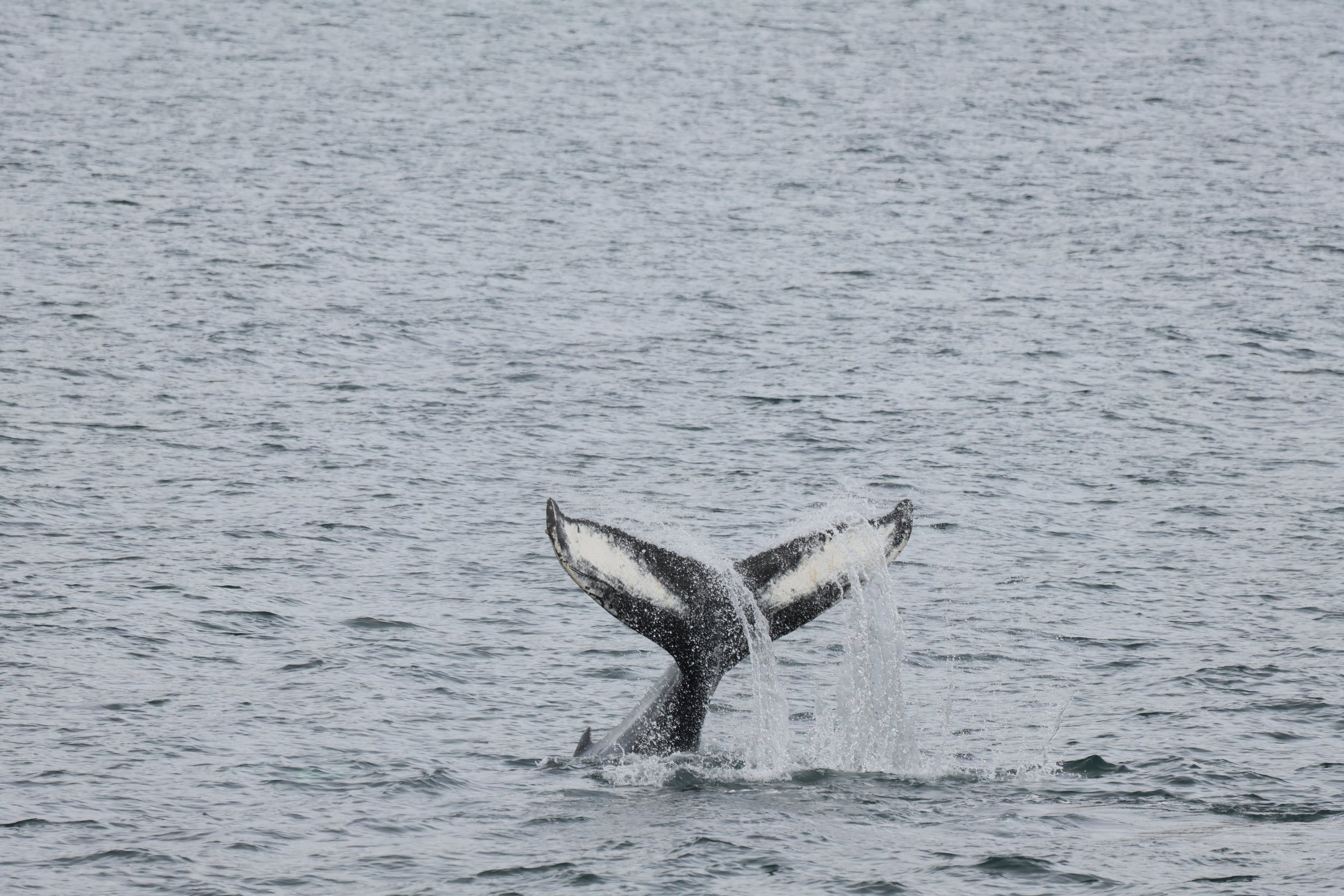 Tuesday, 17 September 2024