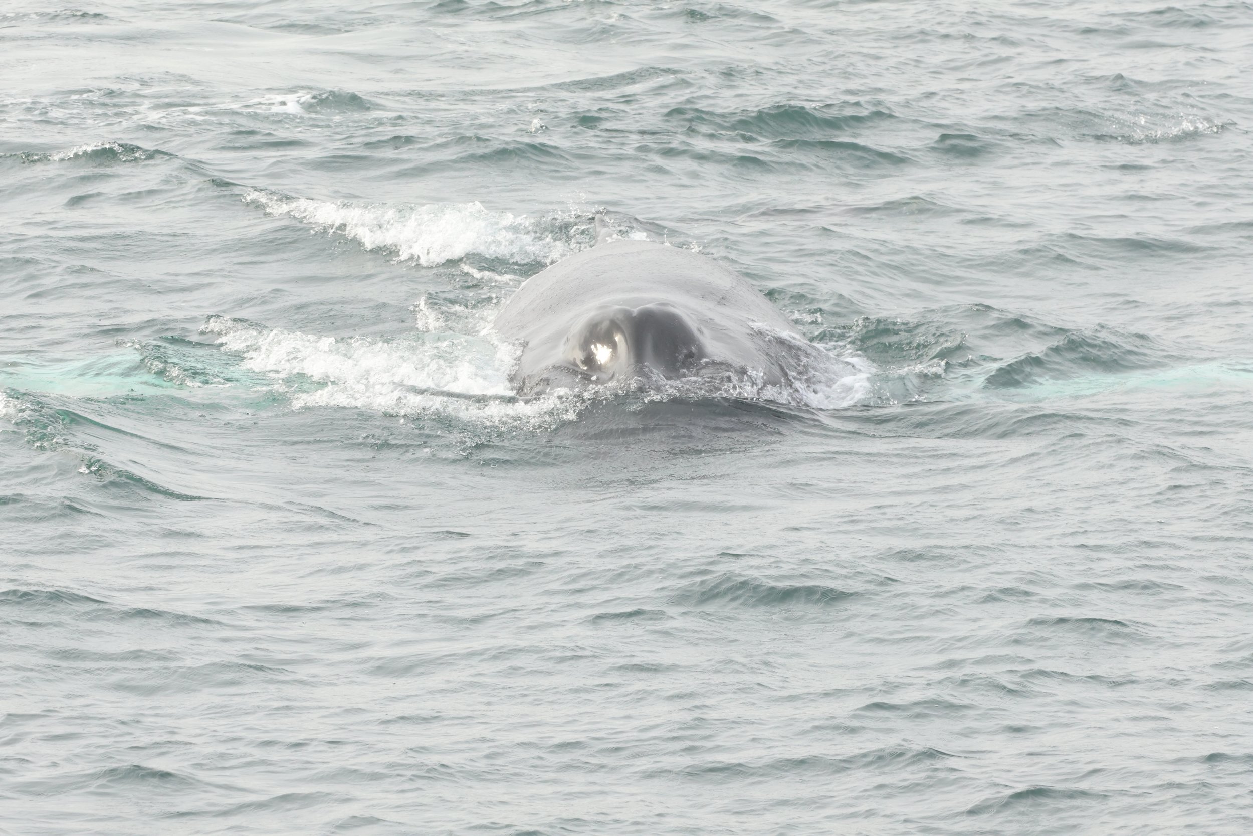 Wednesday, 18 September 2024
