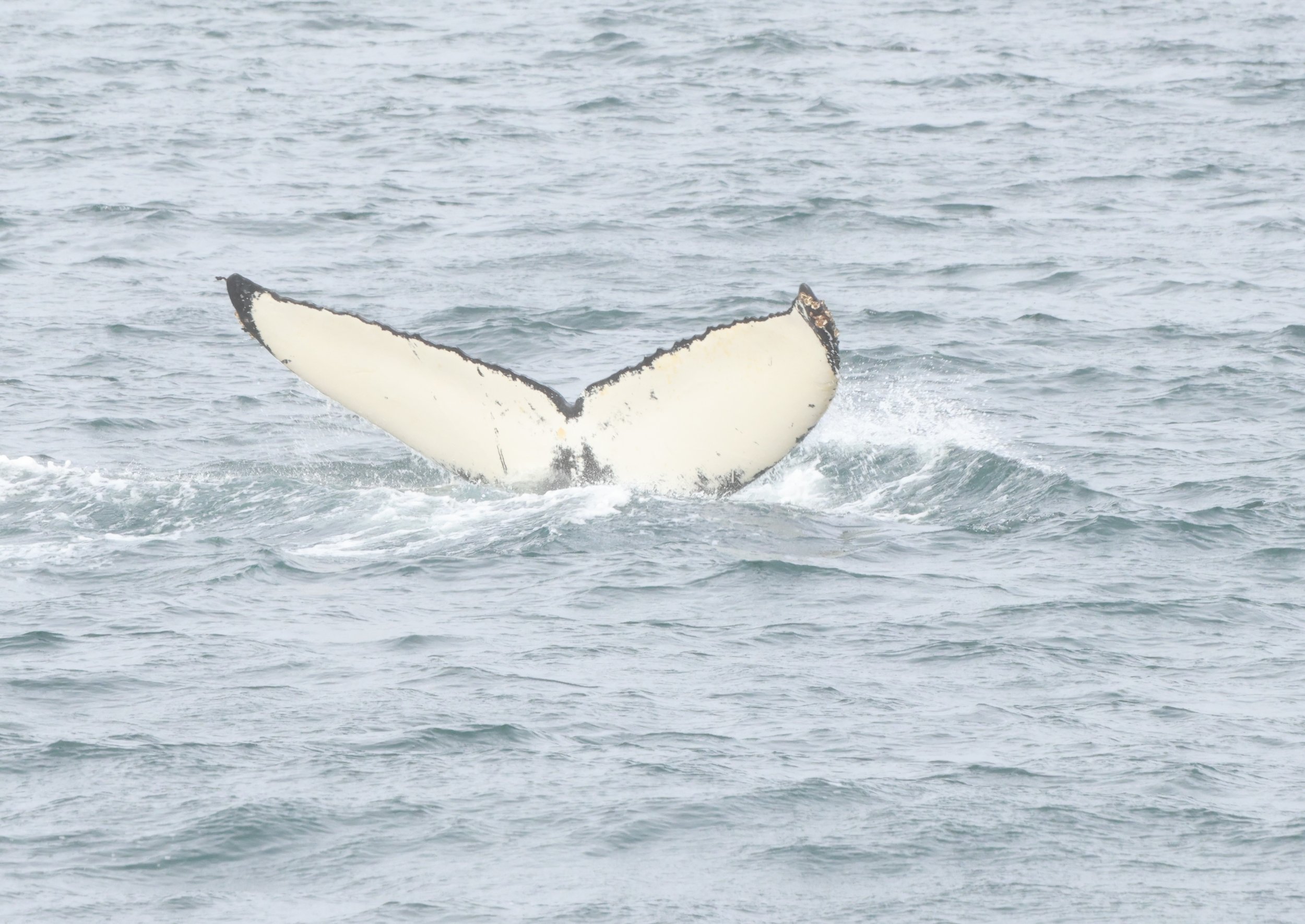Wednesday, 18 September 2024