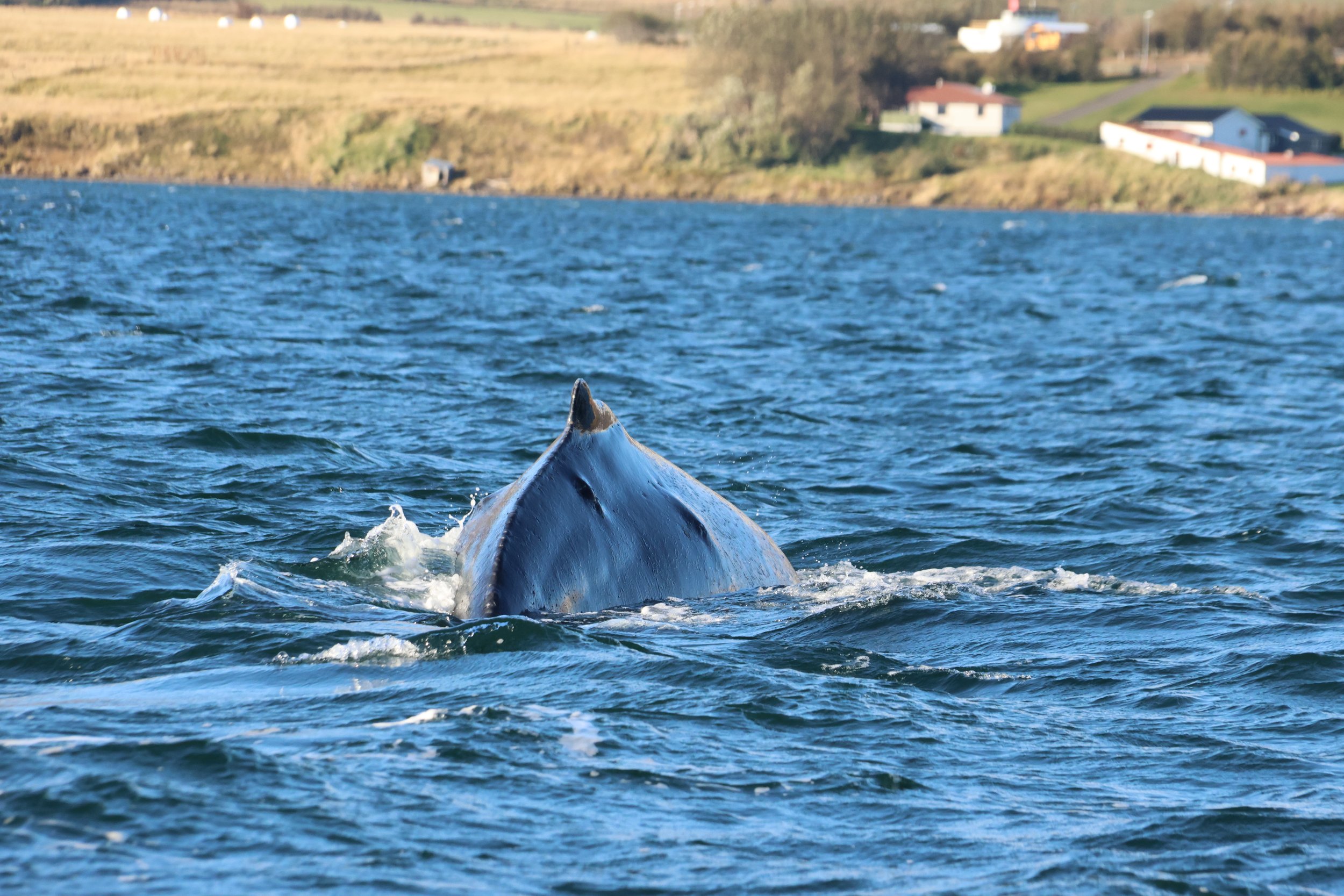 Thursday, 19 September 2024