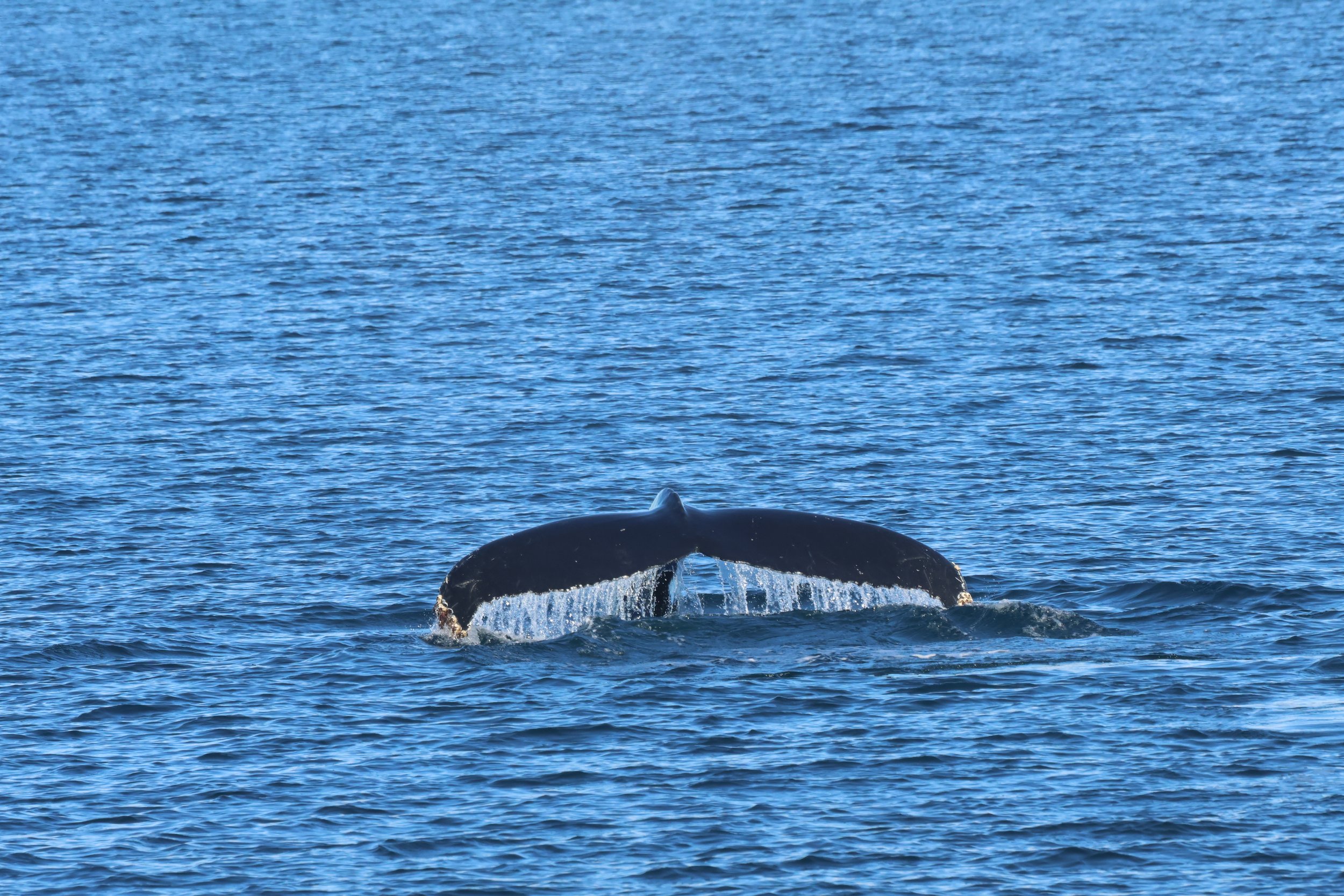 Monday, 23 September 2024
