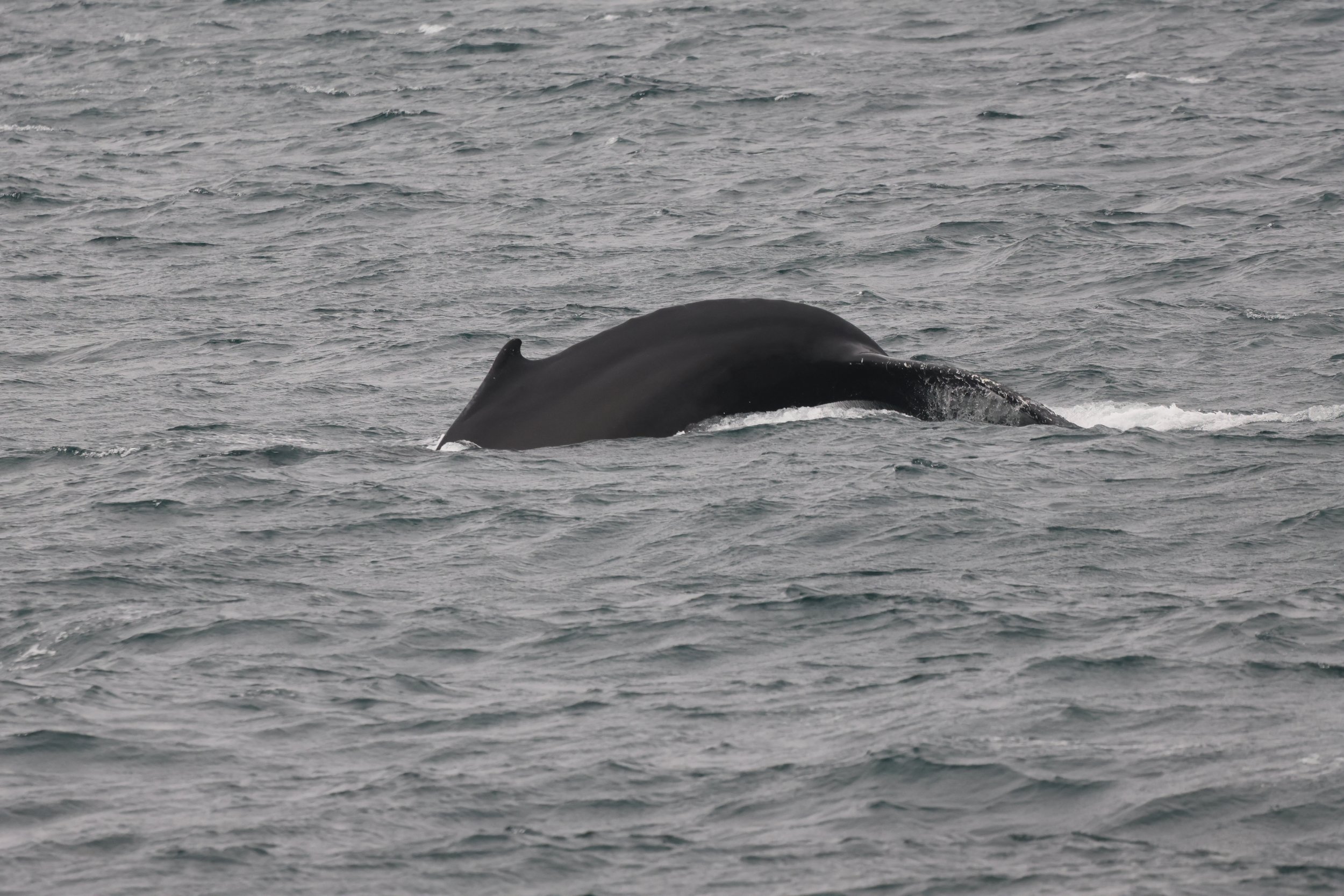 Tuesday, 24 September 2024