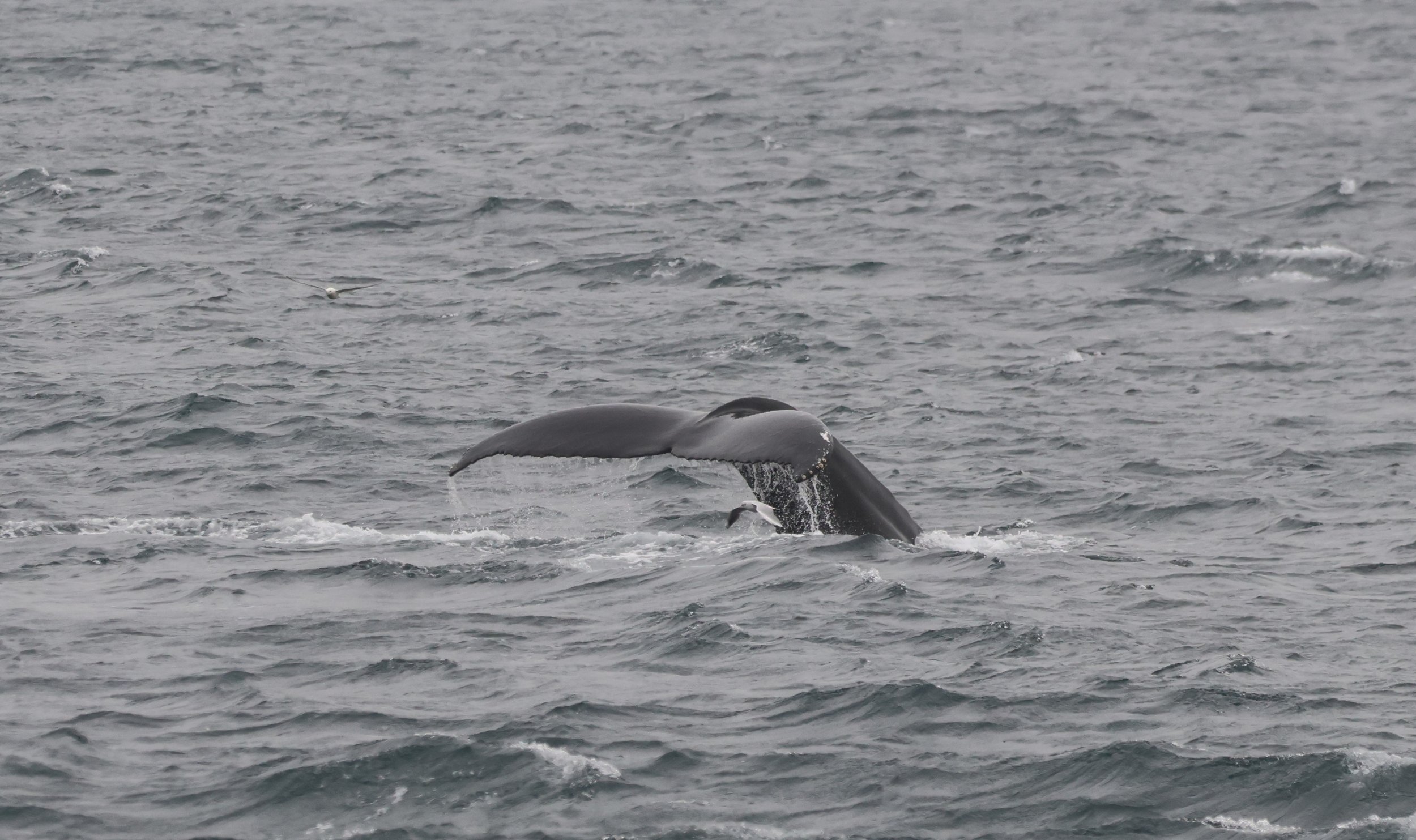 Tuesday, 24 September 2024