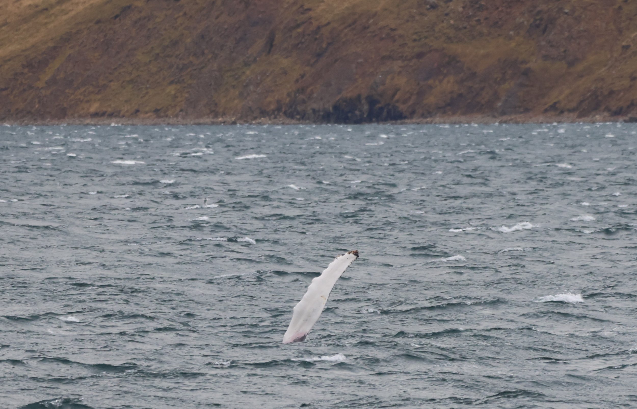 Tuesday, 24 September 2024