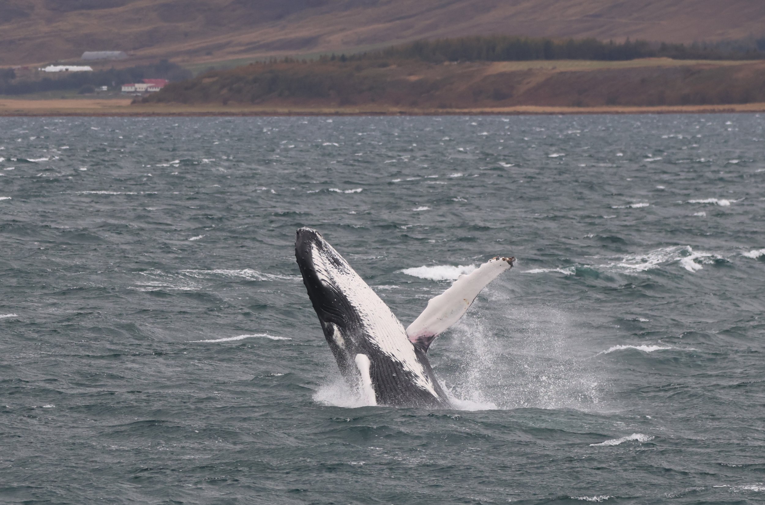 Tuesday, 24 September 2024