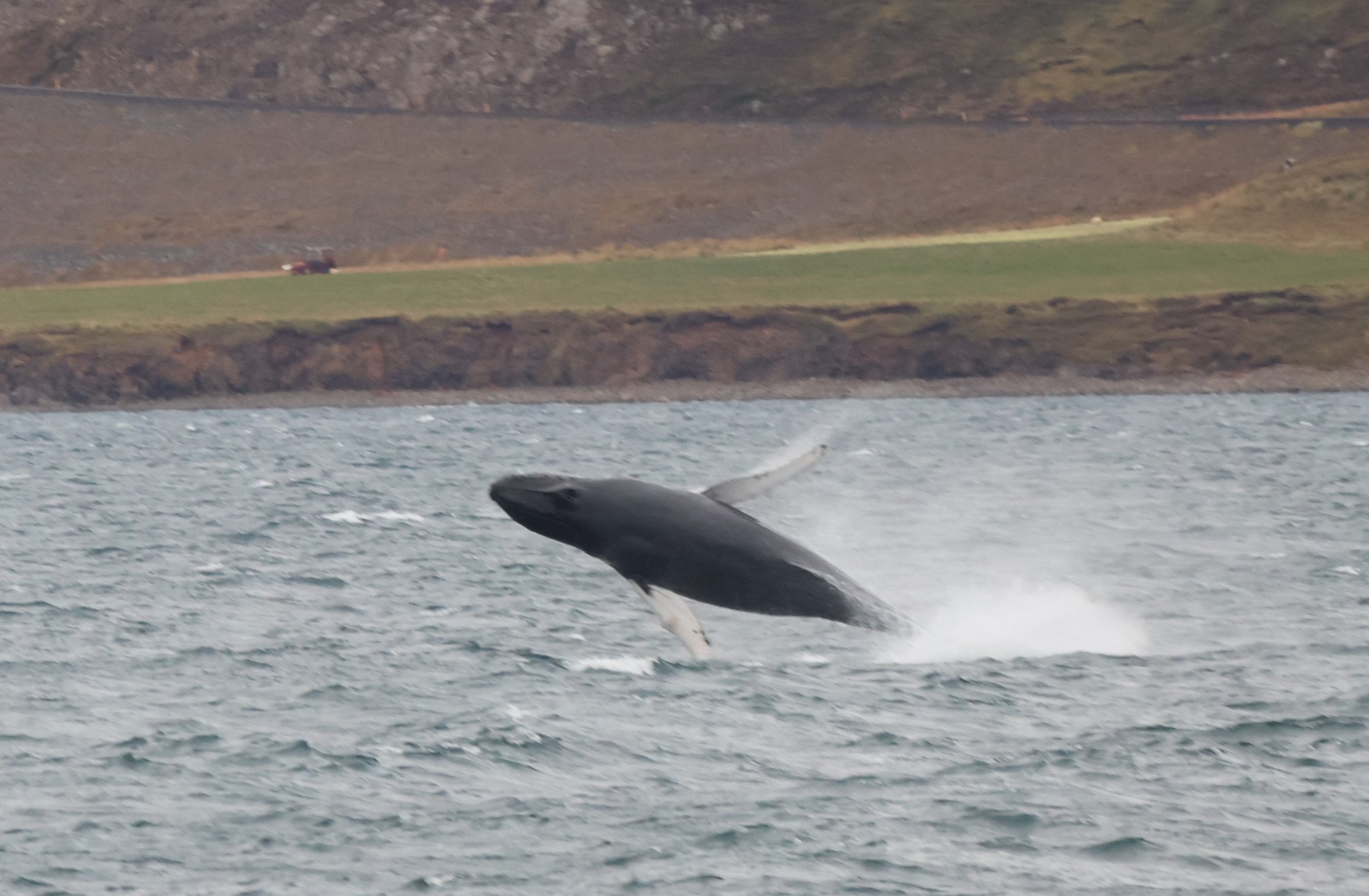 Tuesday, 24 September 2024