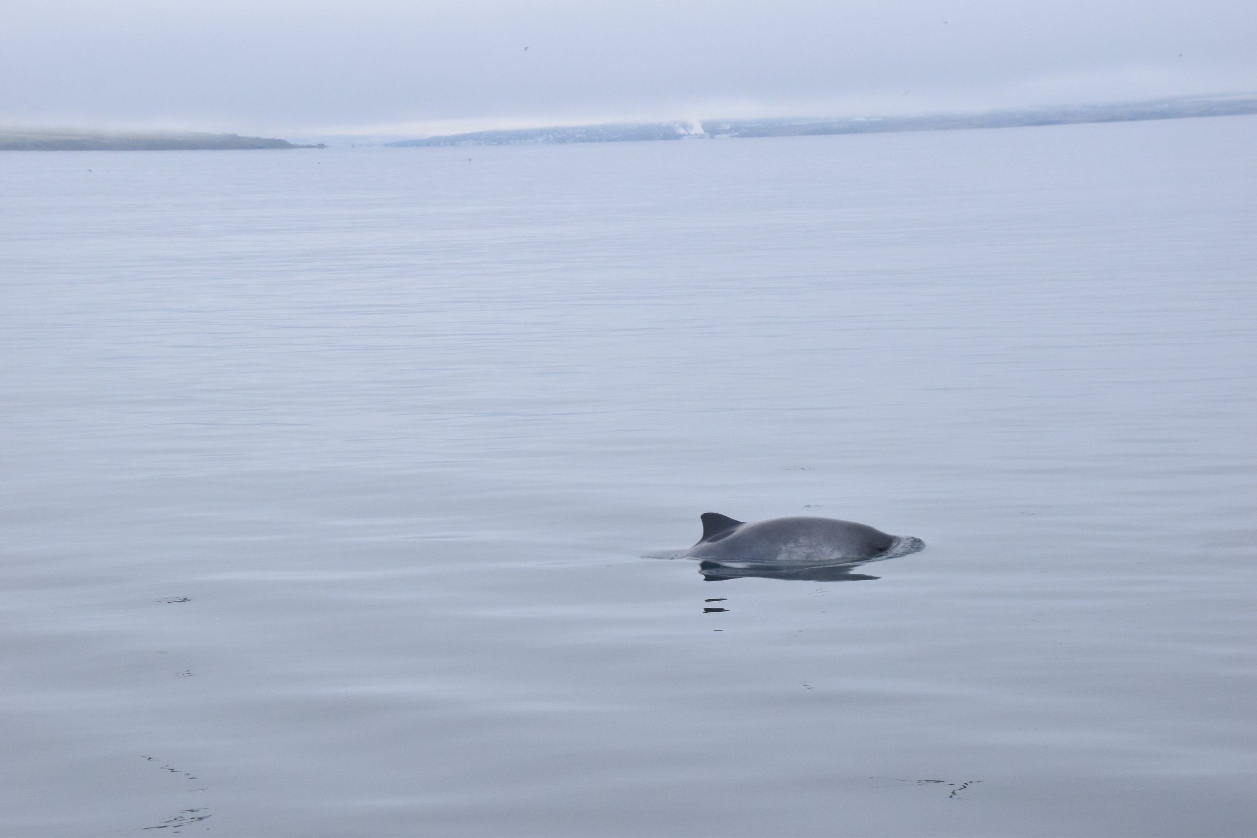 Sunday, 29 September 2024