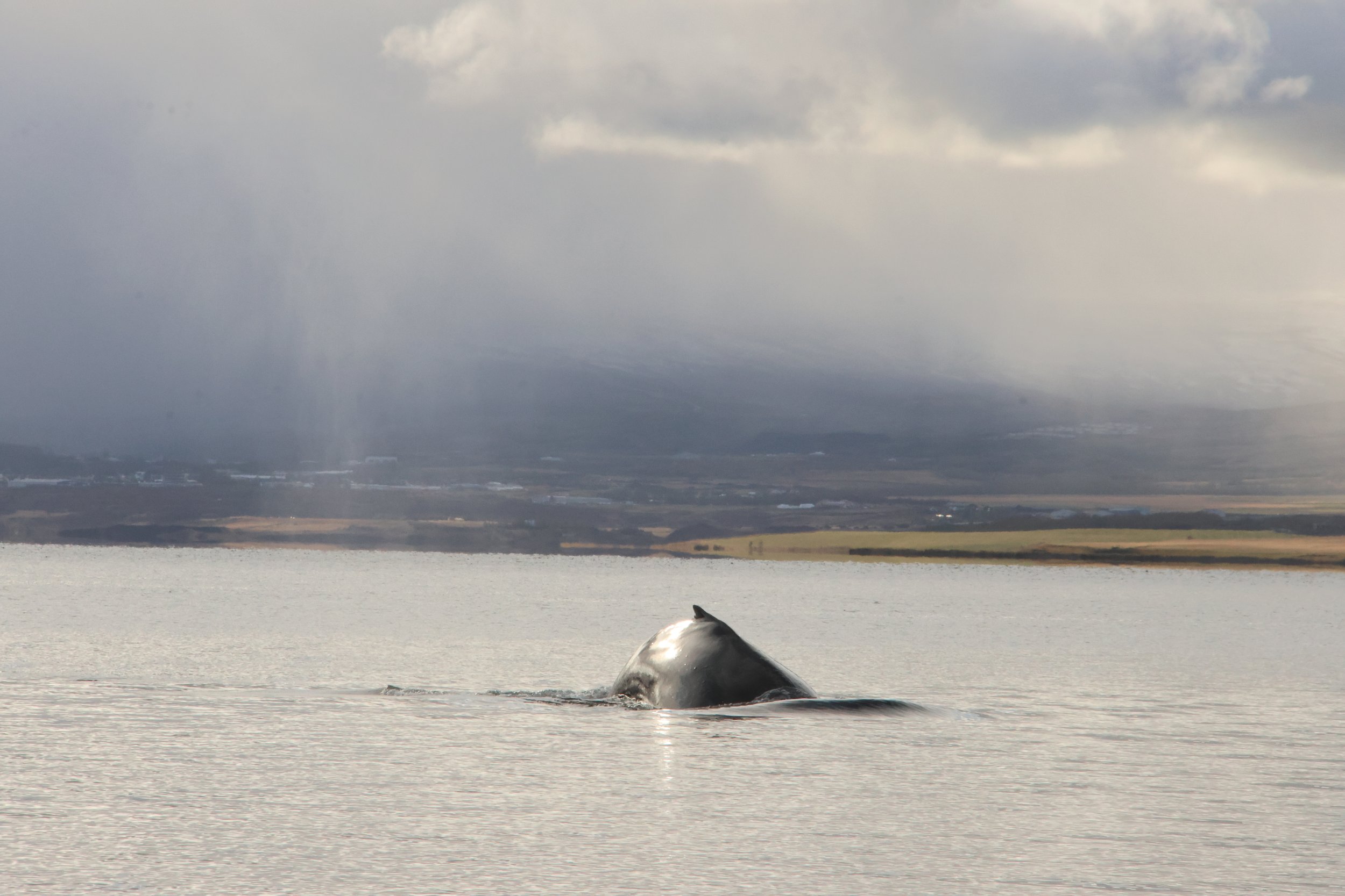 Monday, 30 September 2024