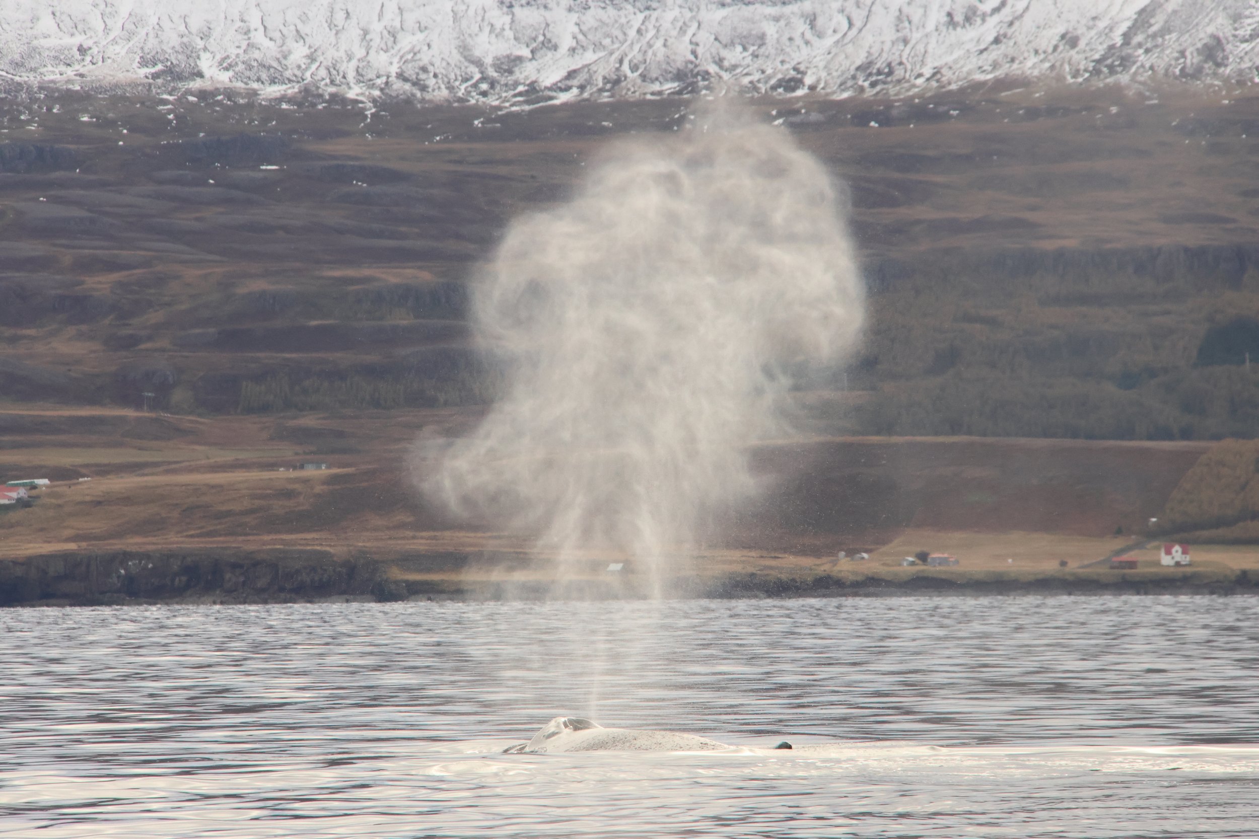 Monday, 30 September 2024