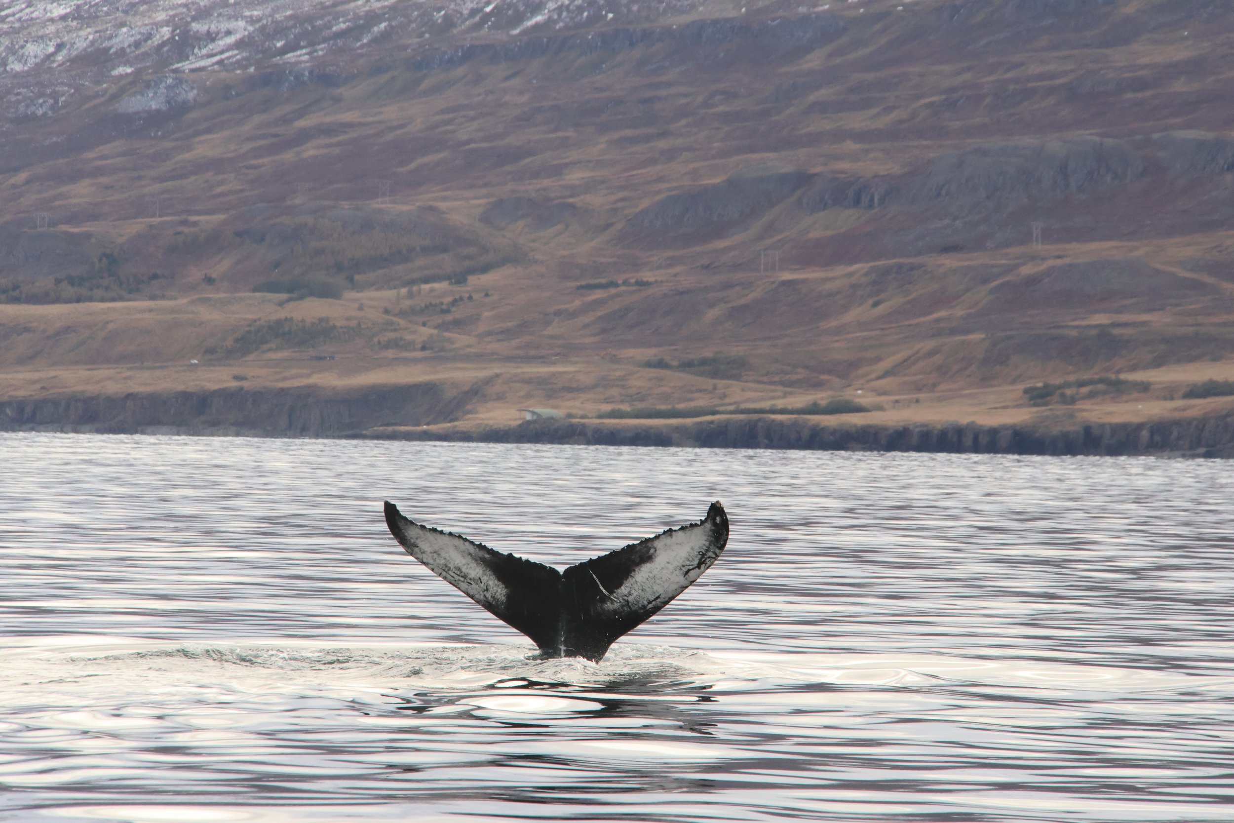 Monday, 30 September 2024