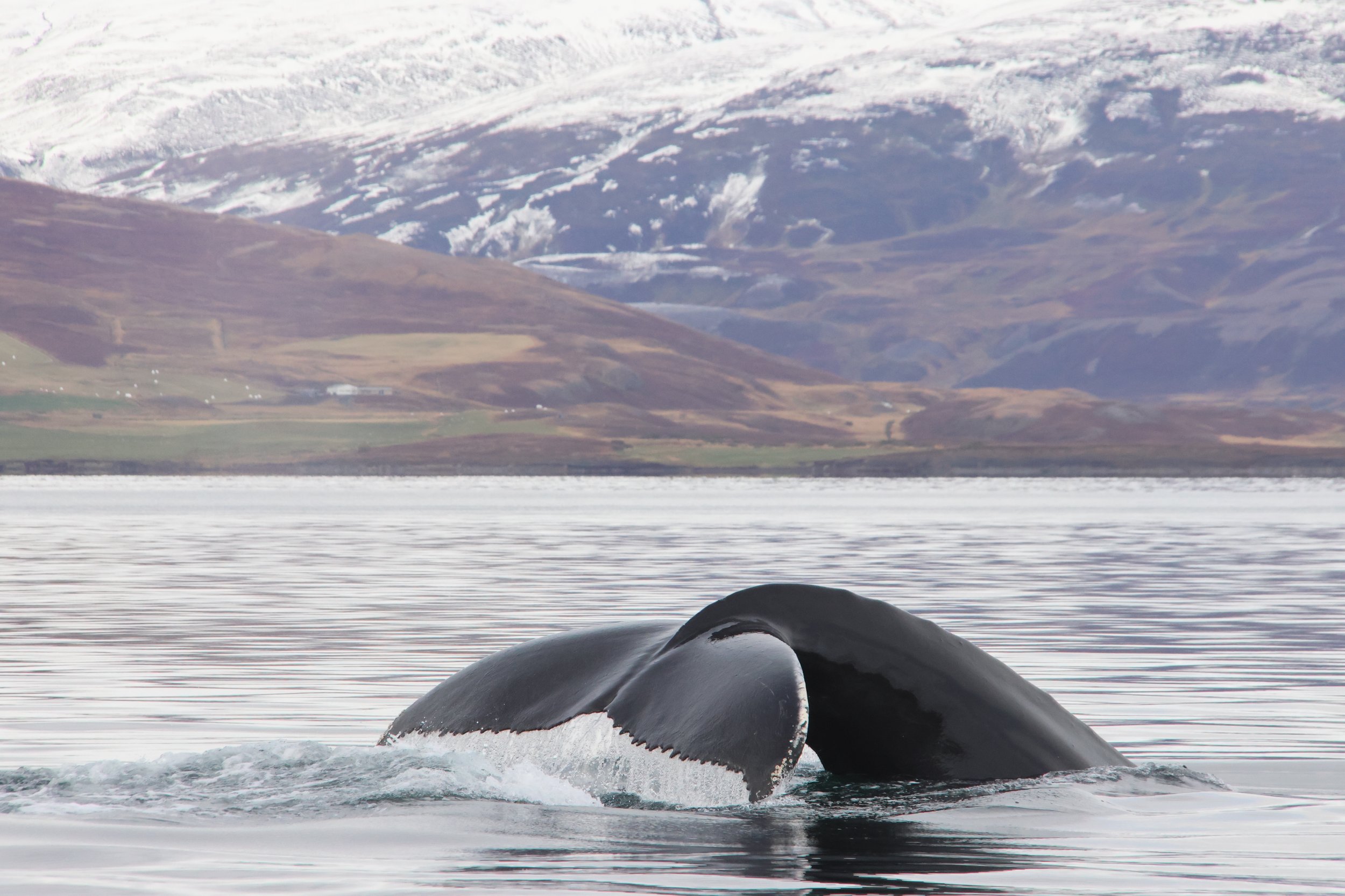 Monday, 30 September 2024