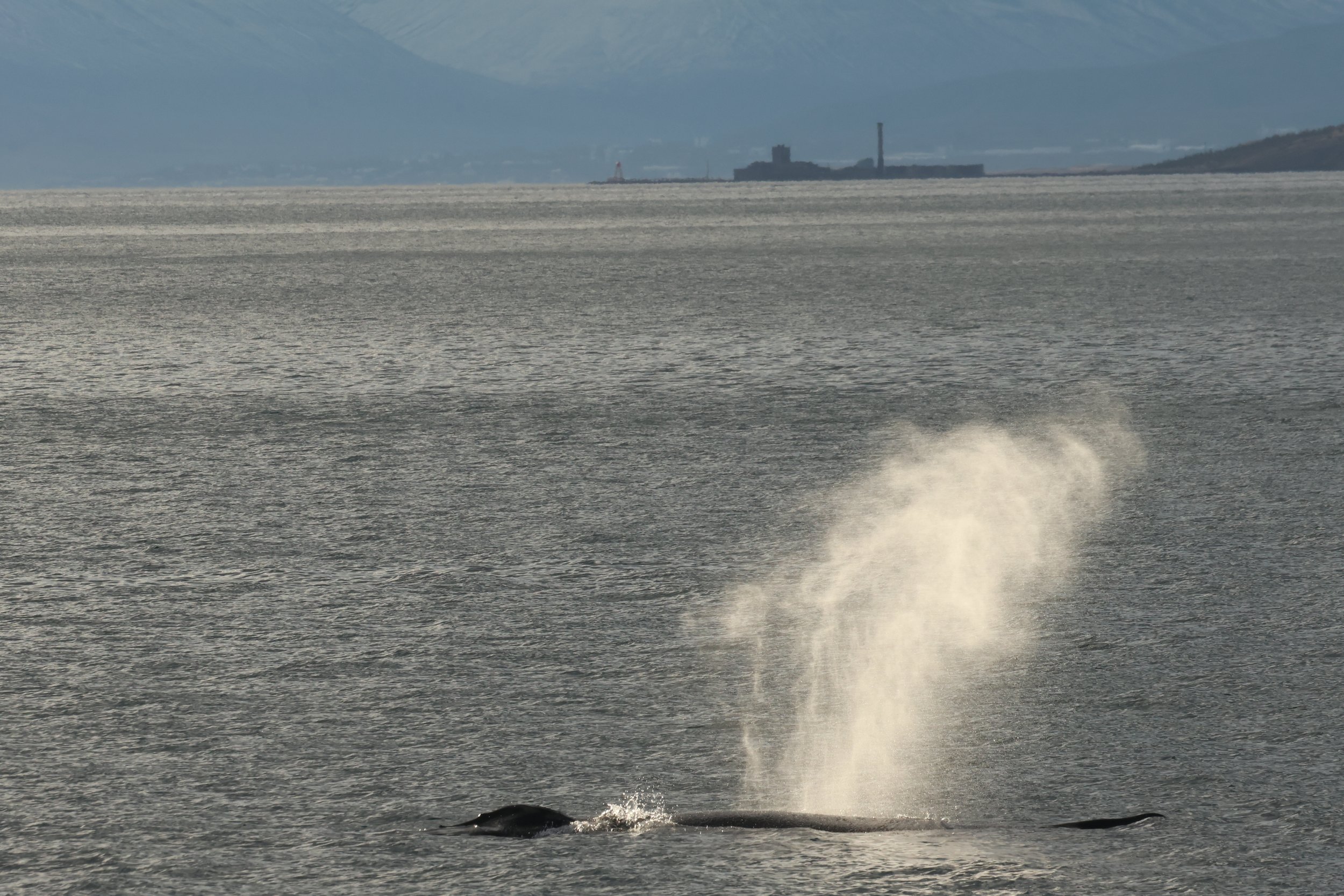 Tuesday, 1 October 2024
