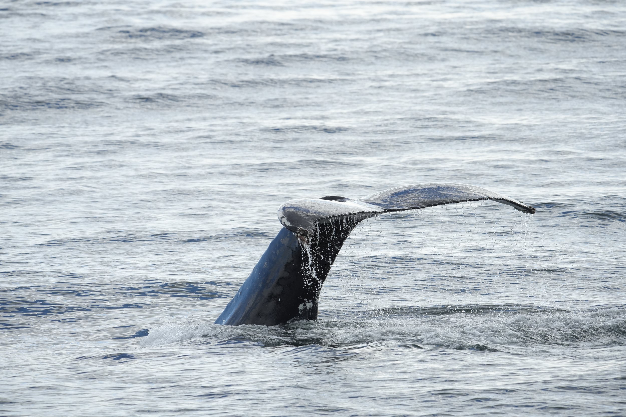 Tuesday, 1 October 2024