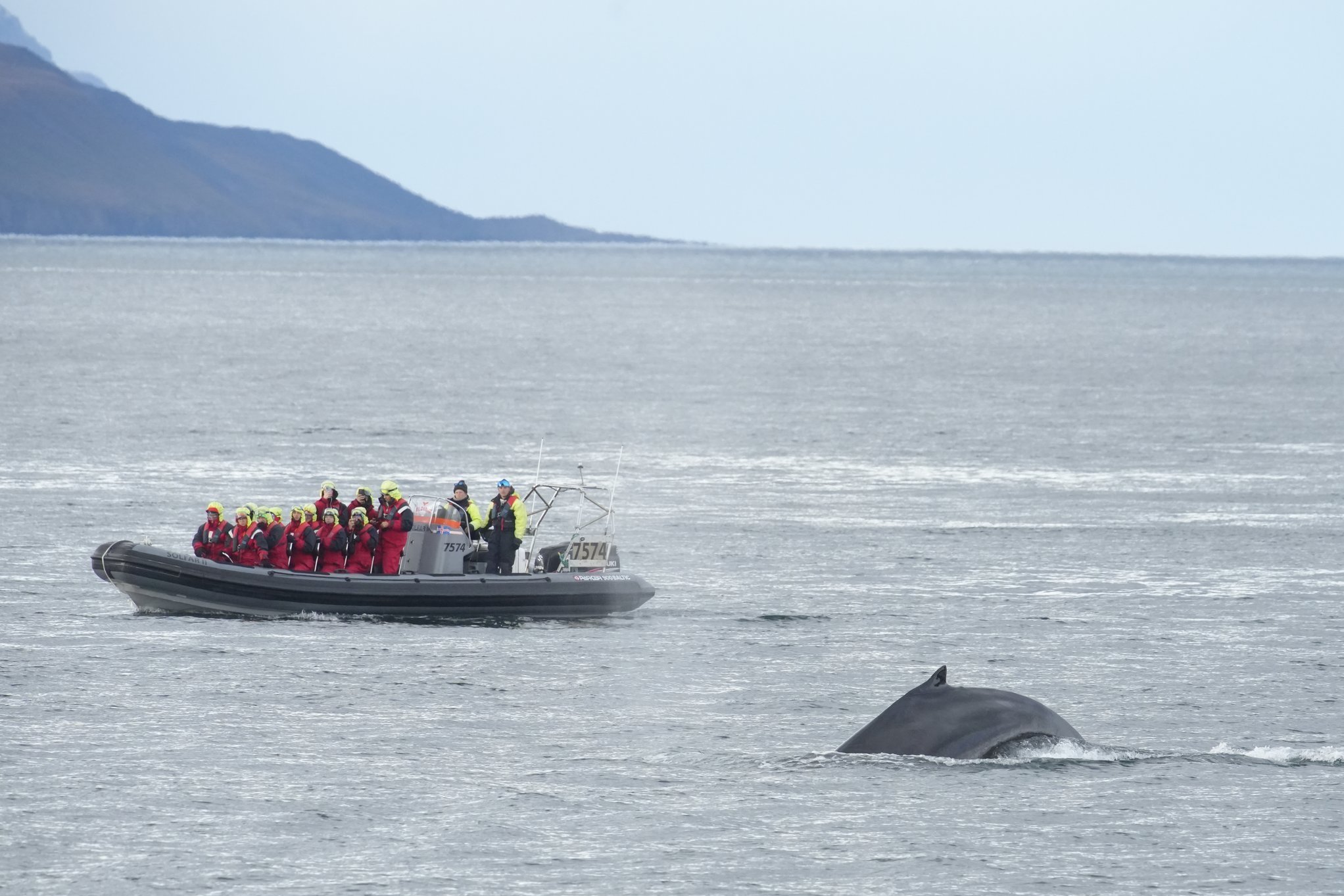 Tuesday, 1 October 2024