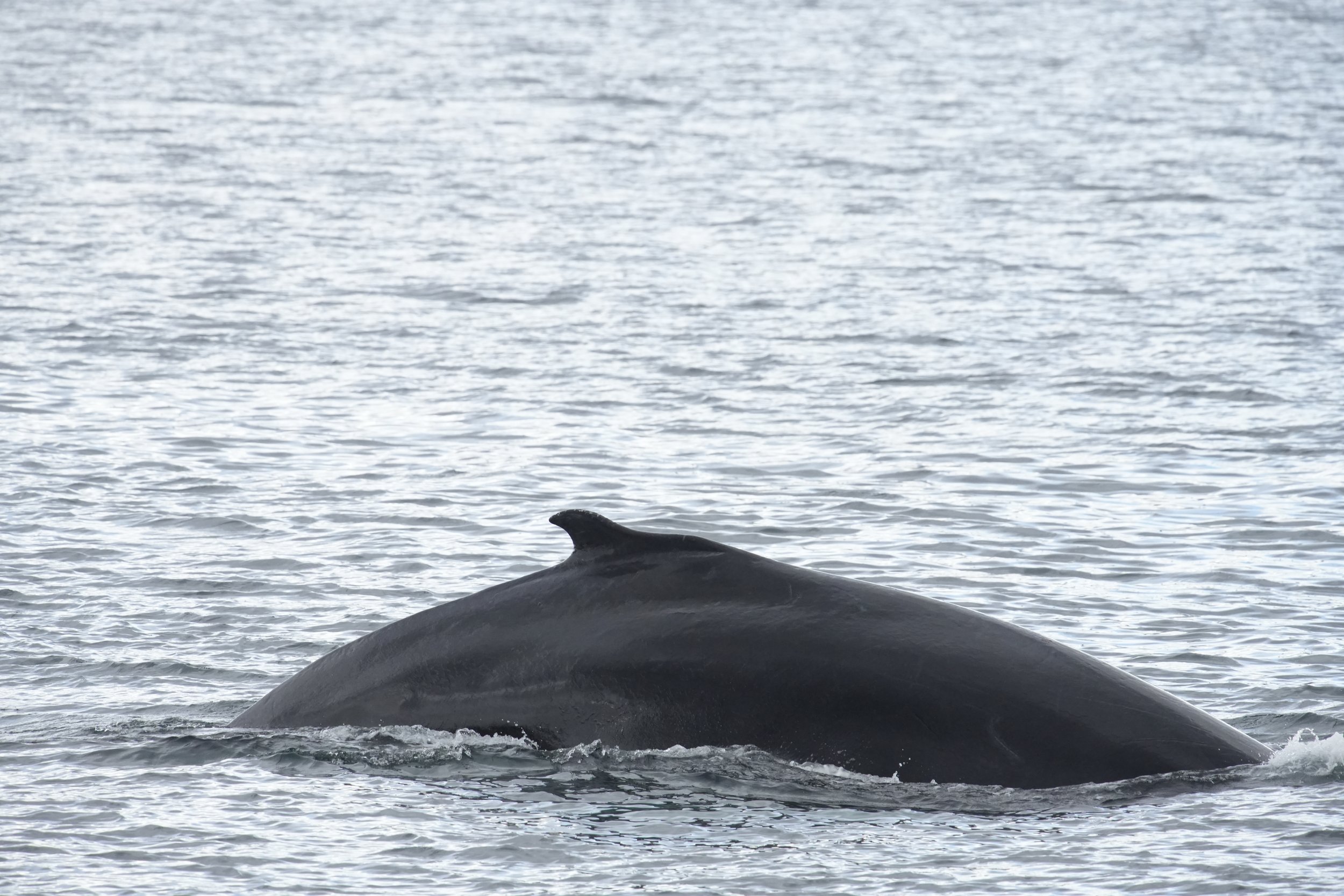 Tuesday, 1 October 2024