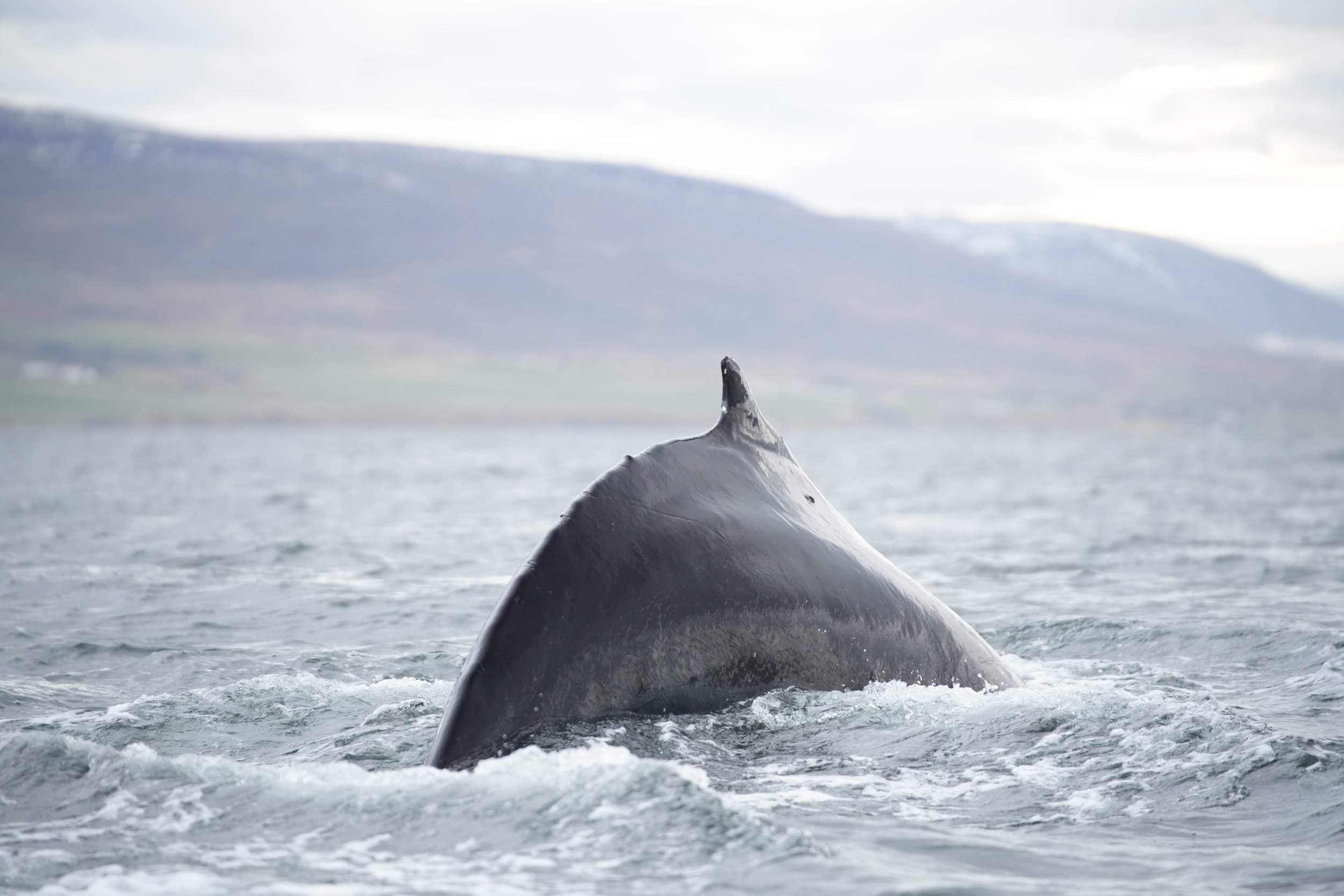 Wednesday, 2 October 2024