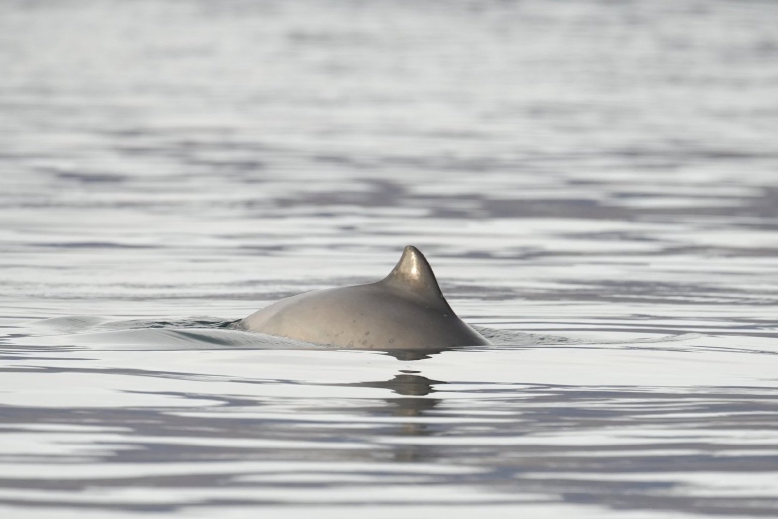 Tuesday, 8 October 2024