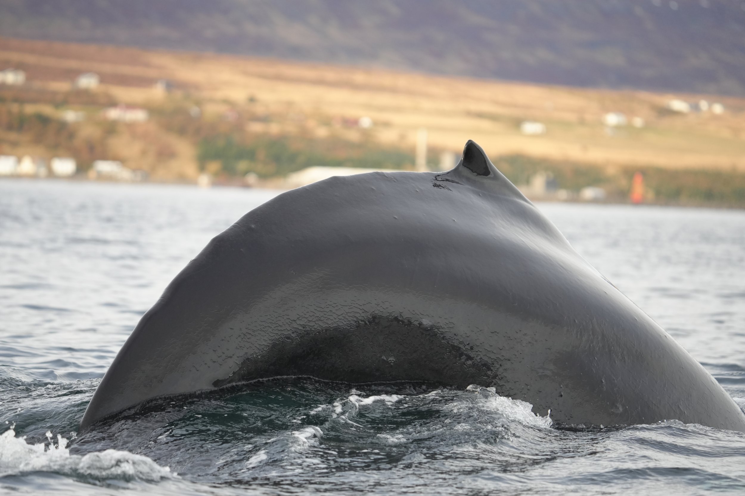 Tuesday, 8 October 2024