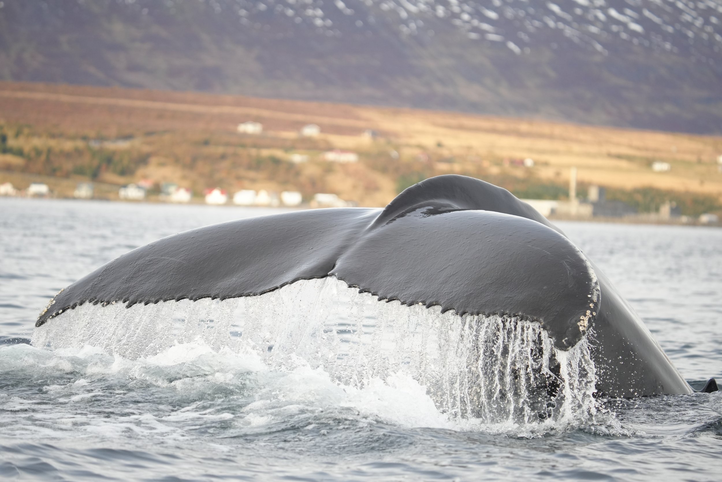 Tuesday, 8 October 2024