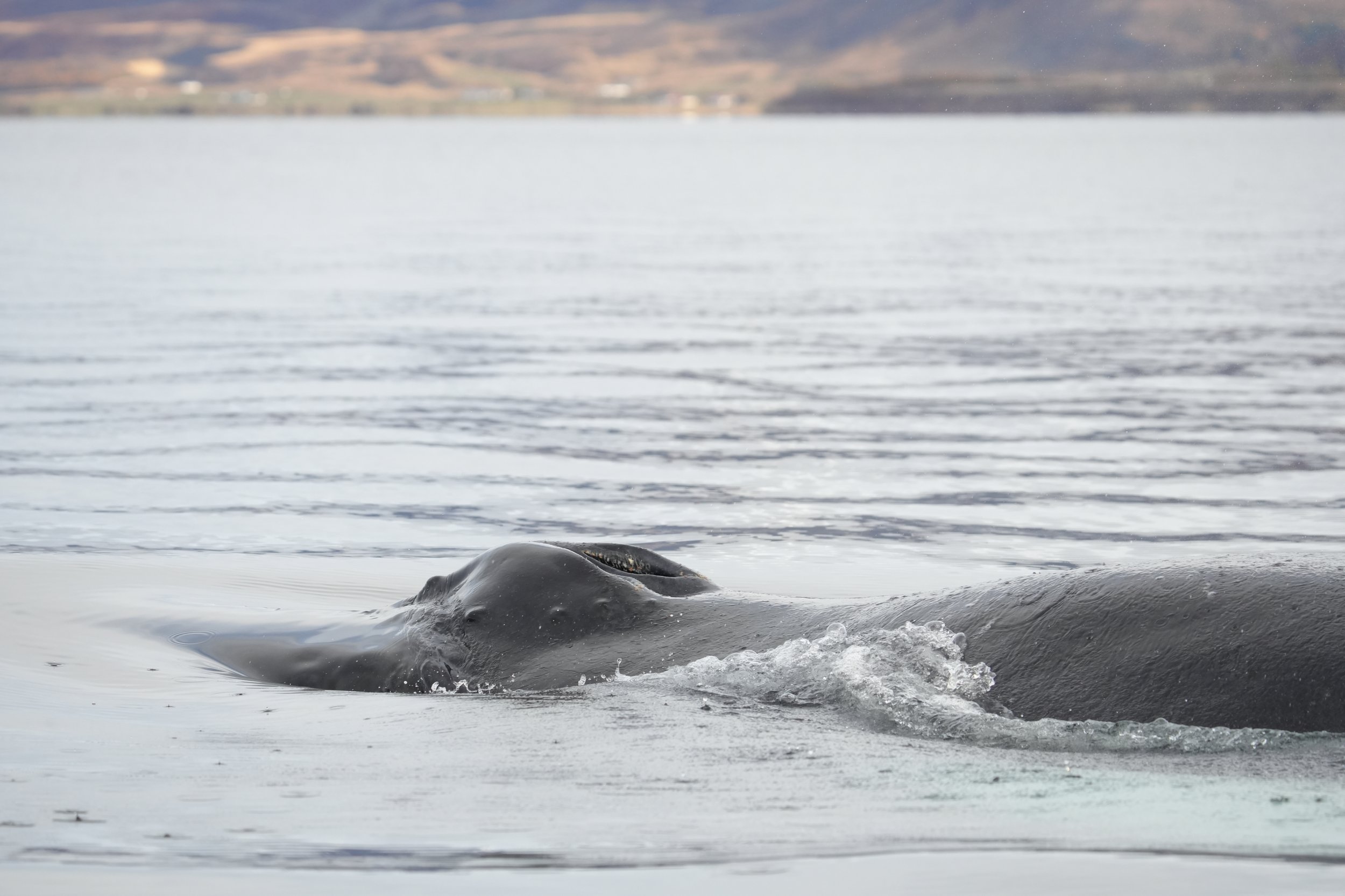 Tuesday, 8 October 2024