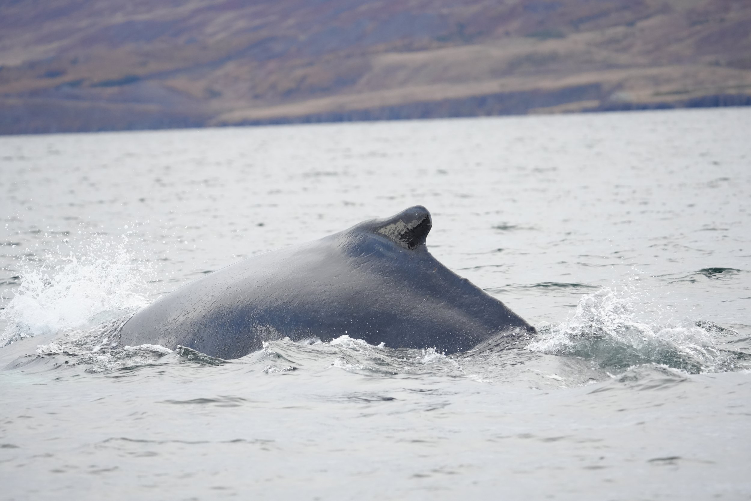 Tuesday, 8 October 2024