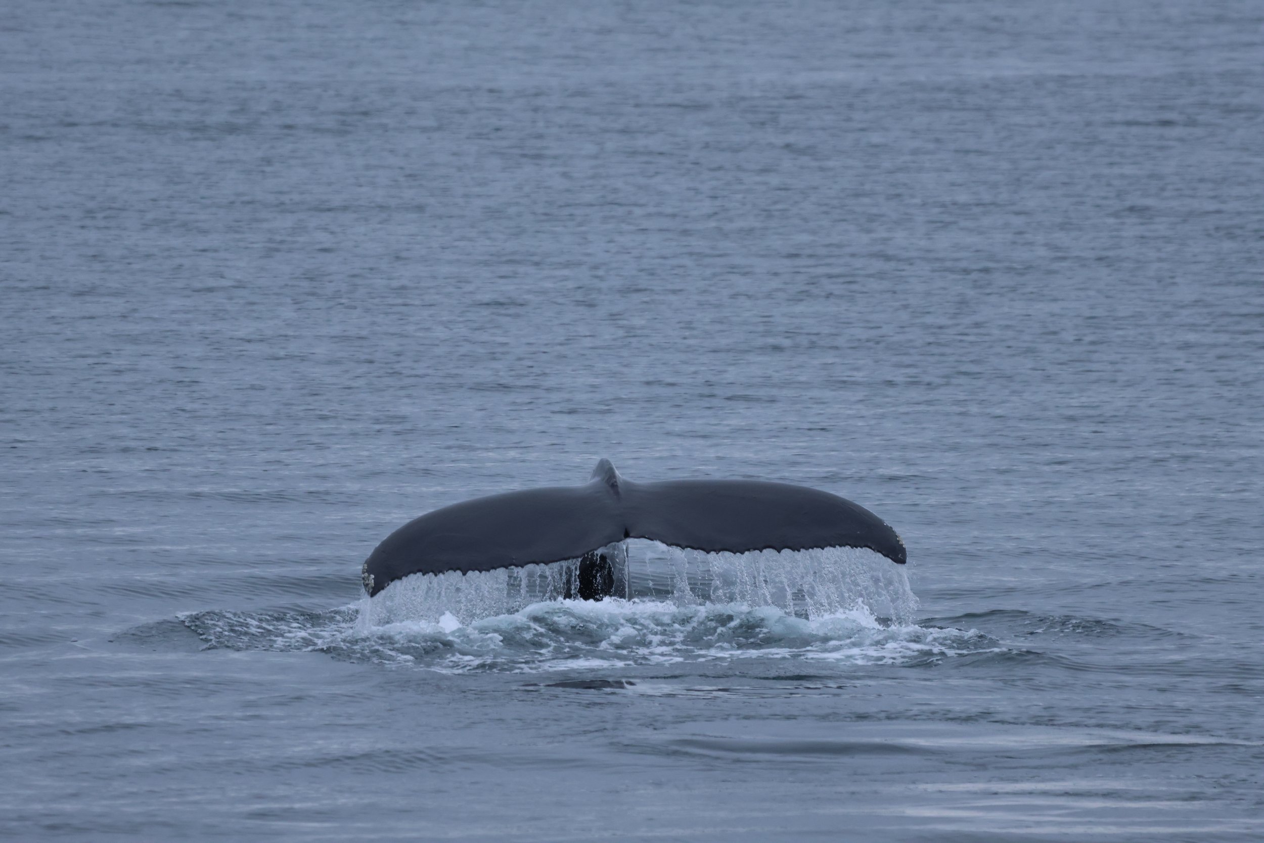 Wednesday, 9 October 2024