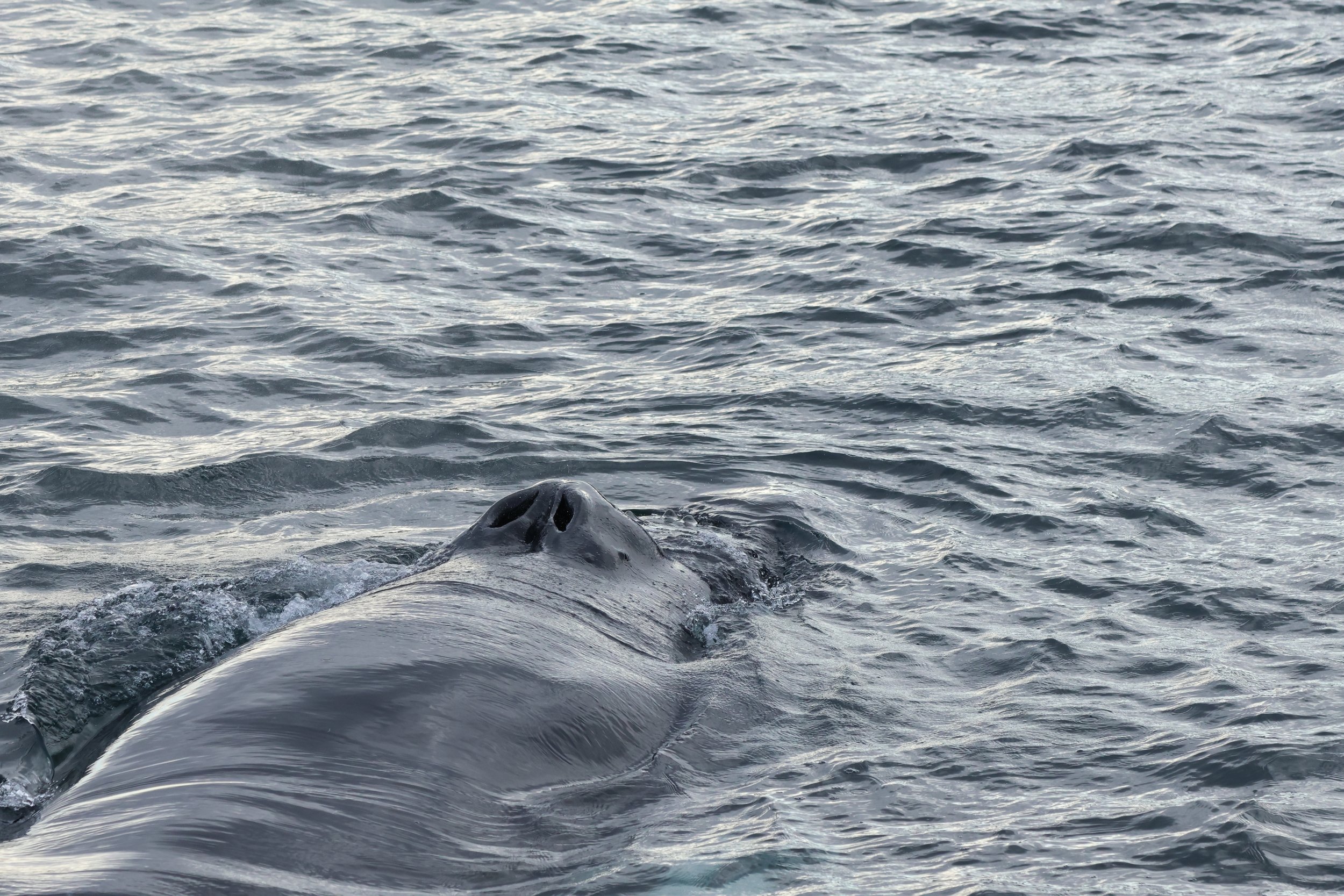 Wednesday, 9 October 2024