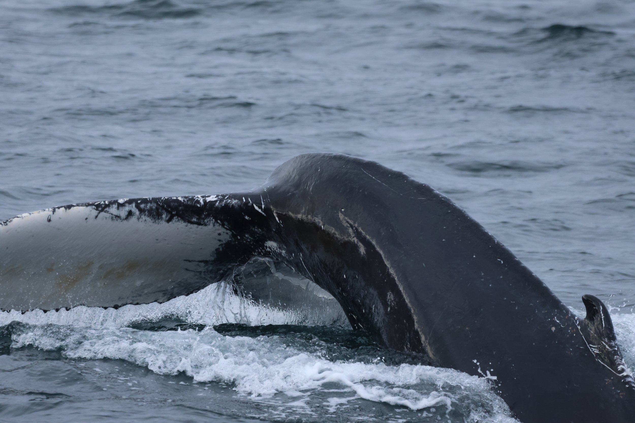 Wednesday, 9 October 2024