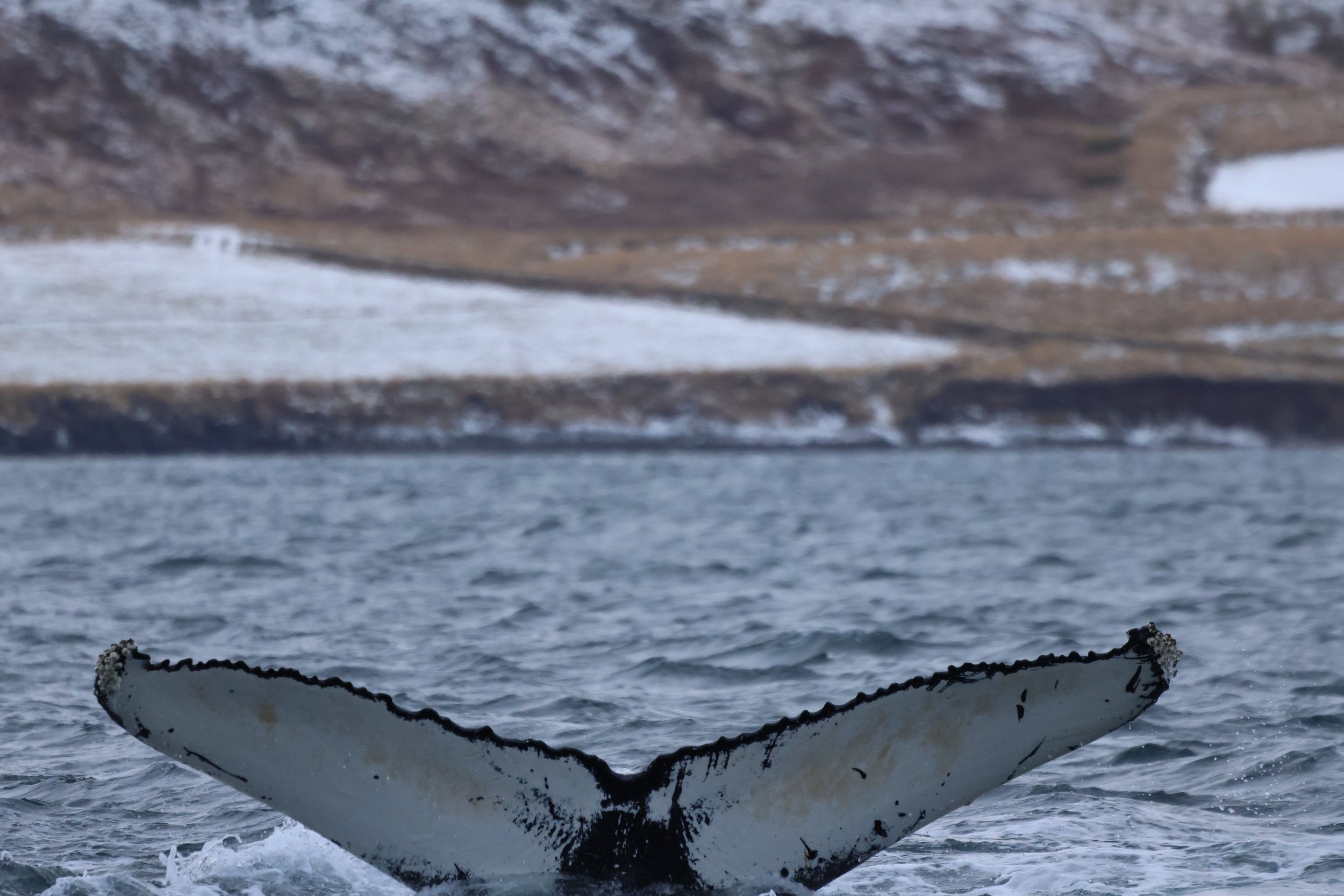 Tuesday, 15 October 2024
