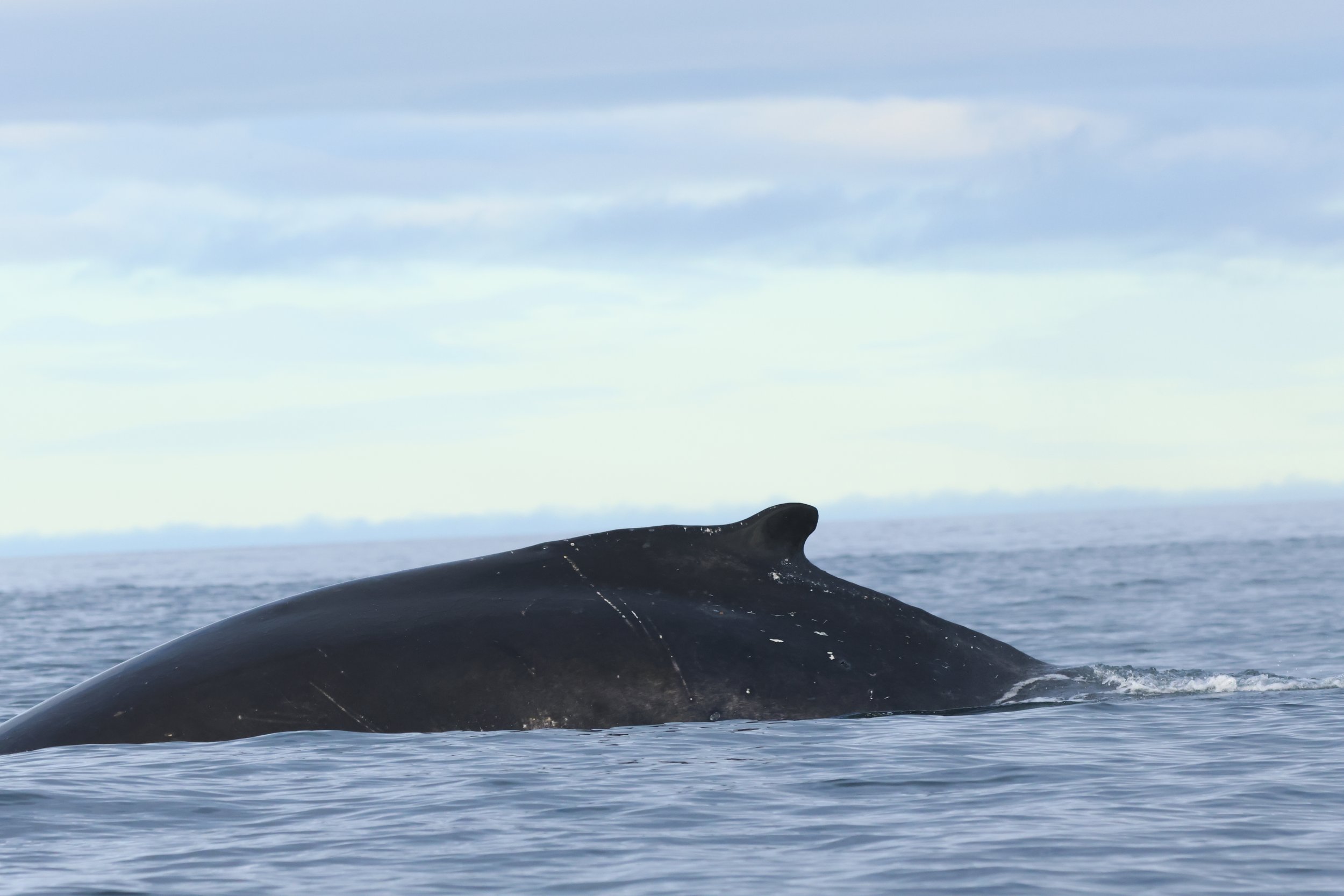 Wednesday, 16 October 2024