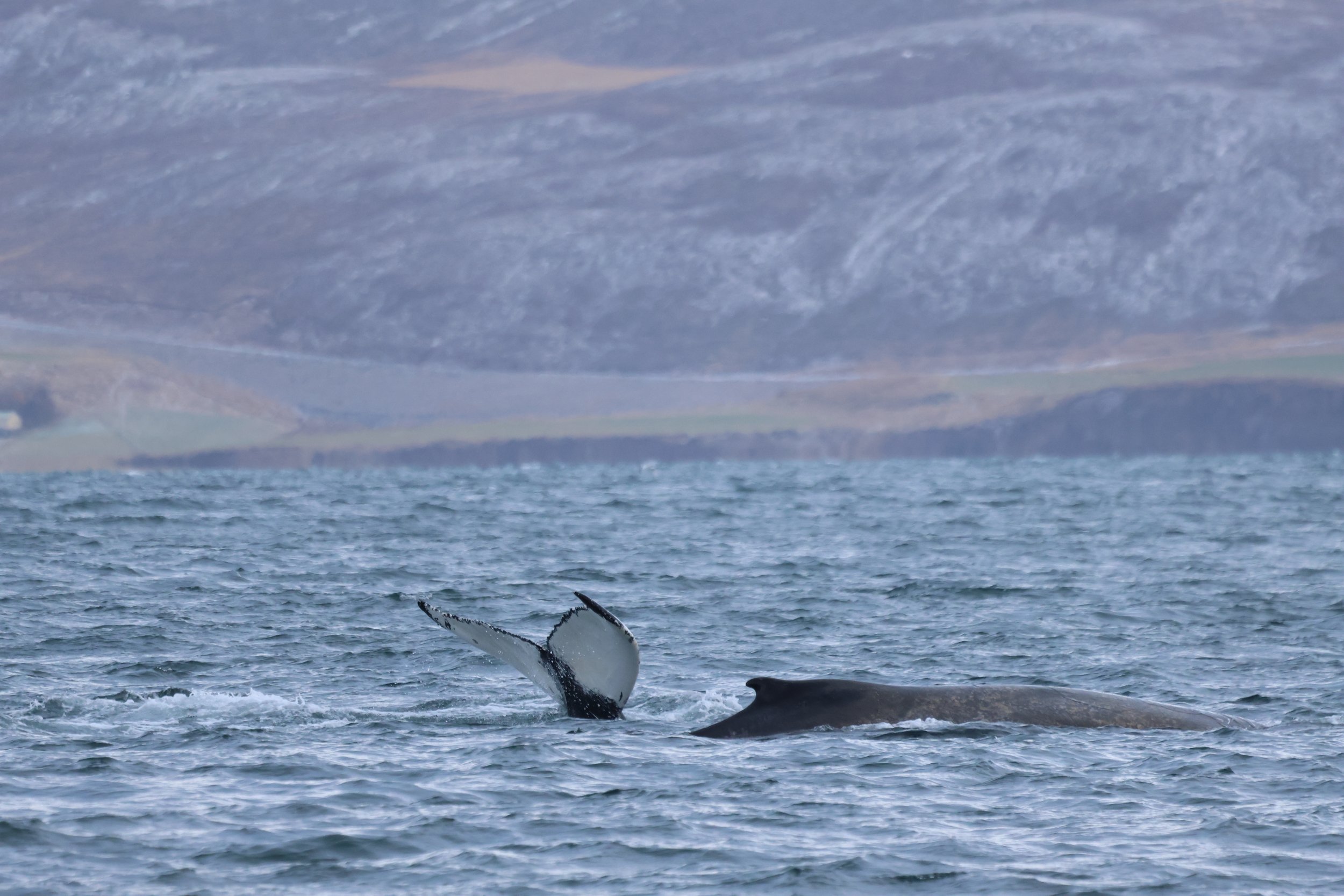 Tuesday, 22 October 2024