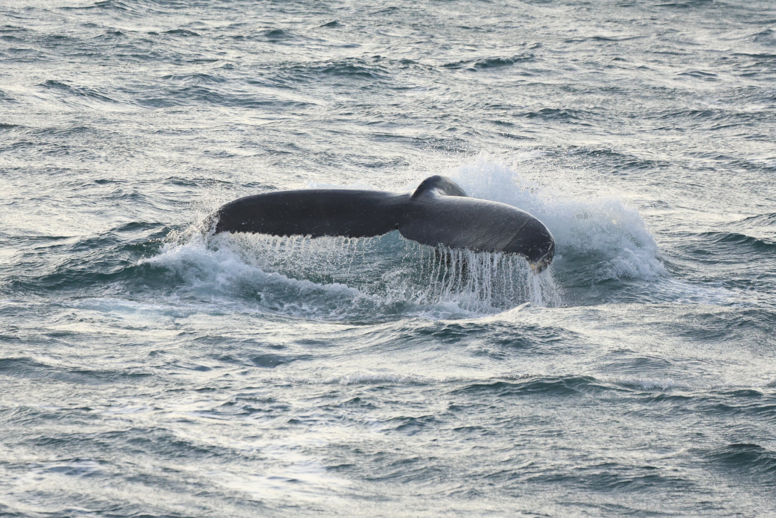 Tuesday, 5 November 2024