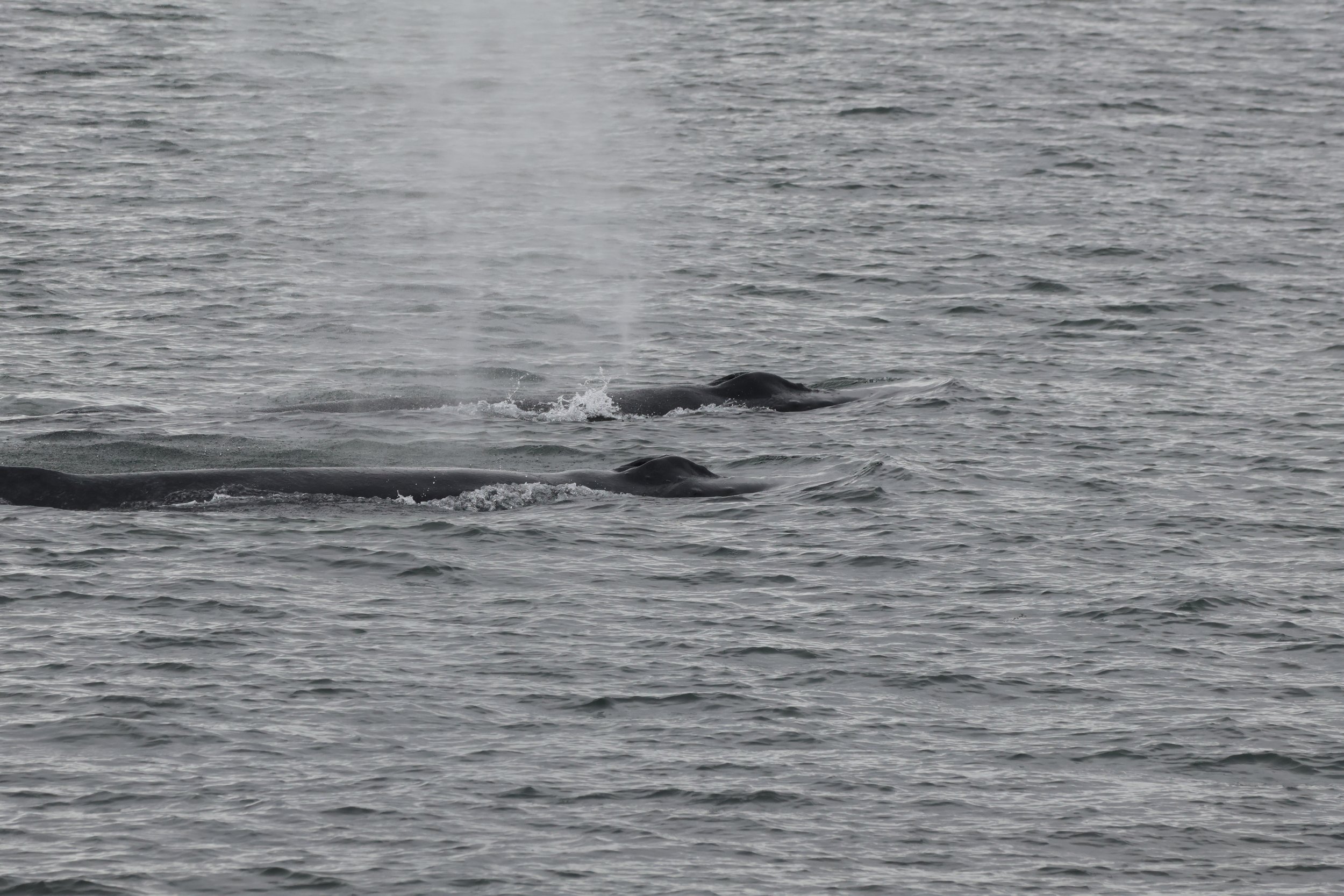 Tuesday, 30 April 2024