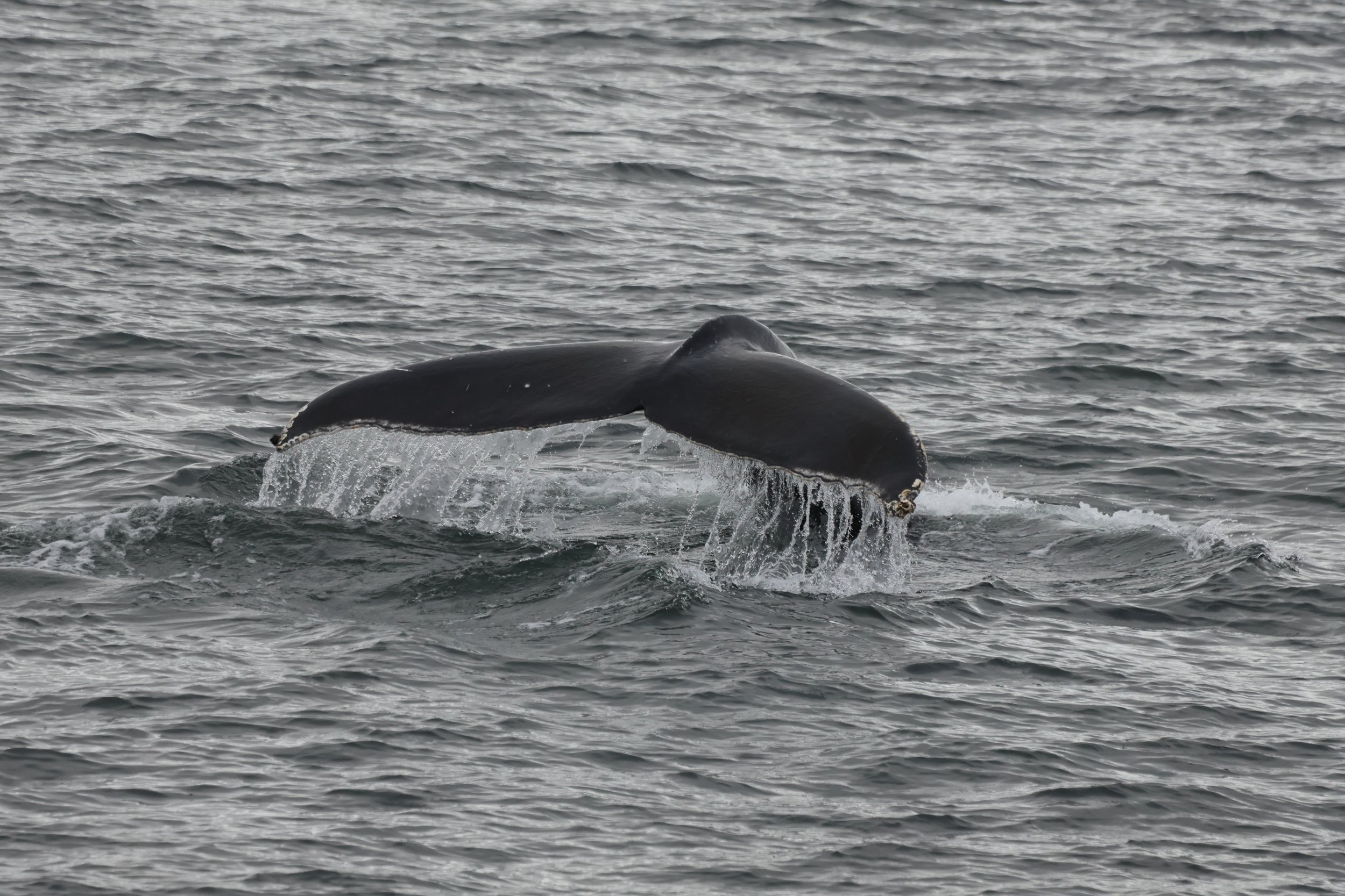 Tuesday, 30 April 2024