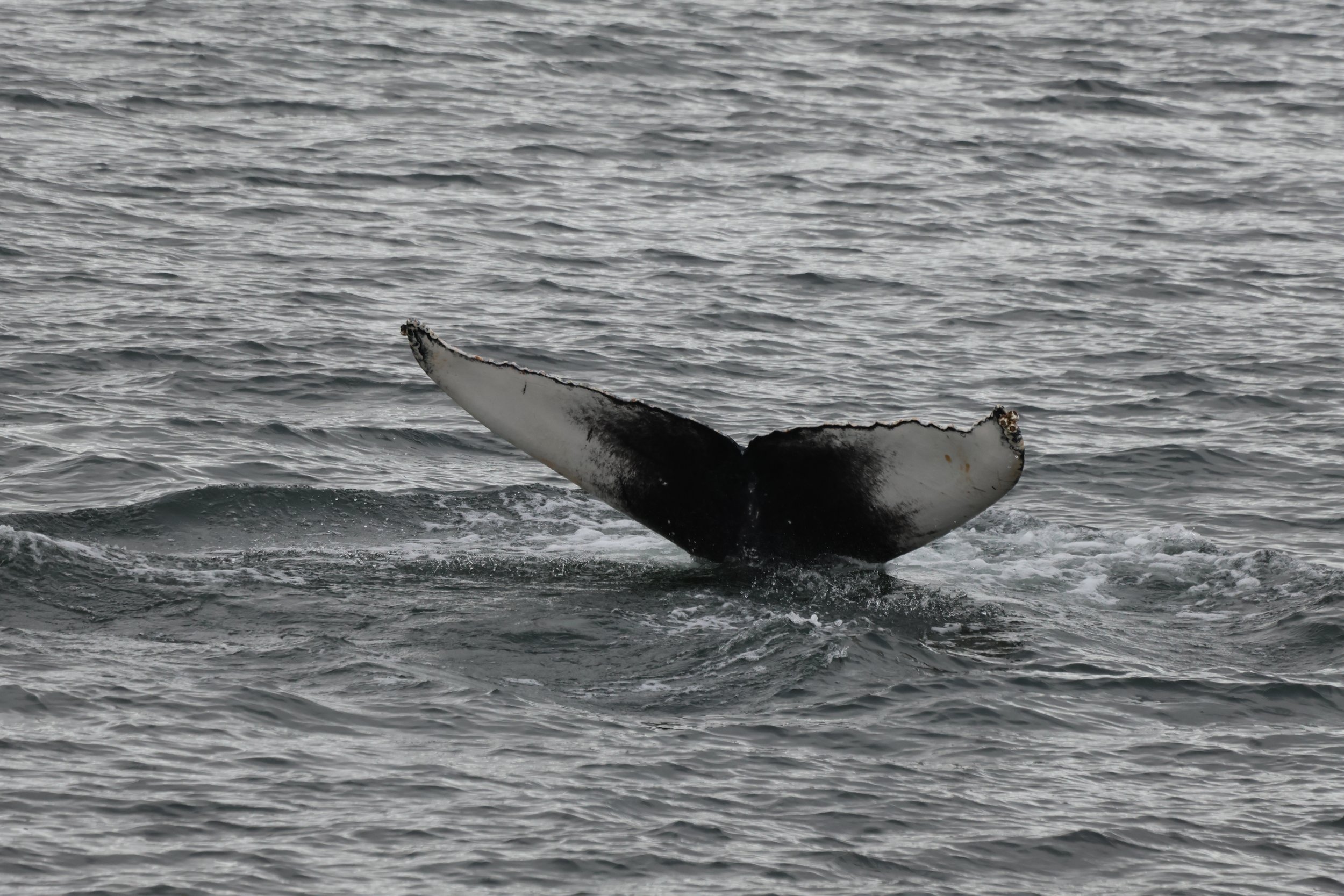 Tuesday, 30 April 2024