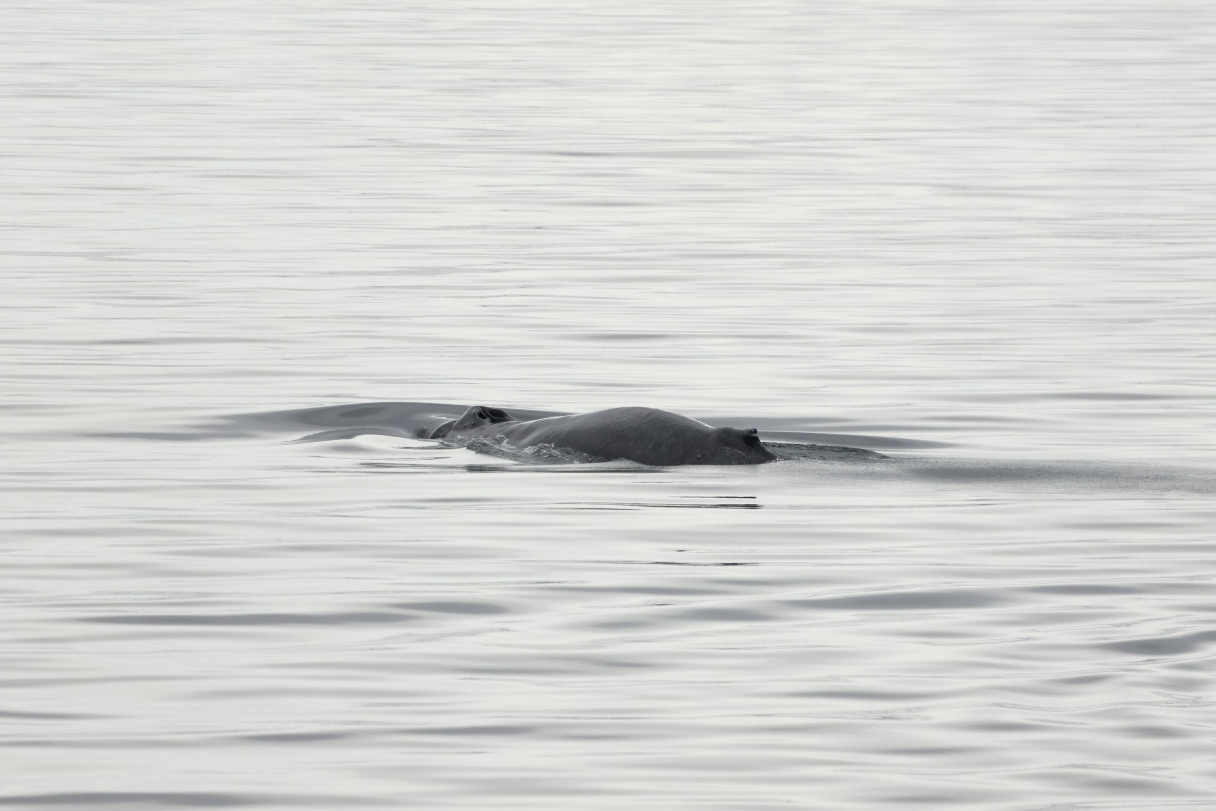 Tuesday, 30 April 2024