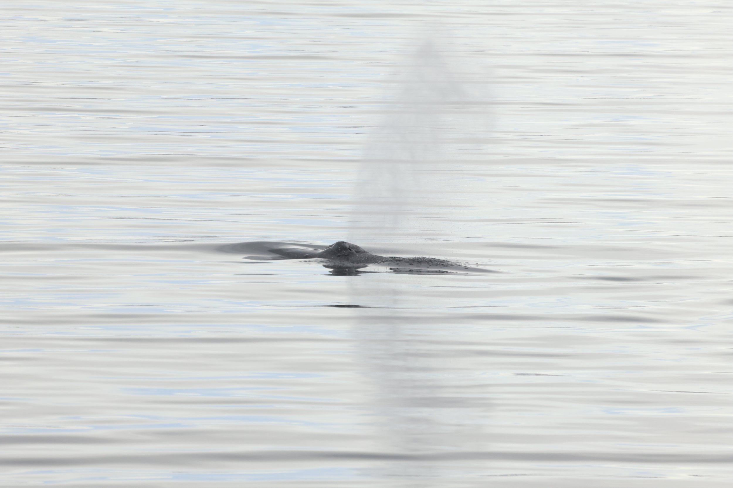 Tuesday, 30 April 2024