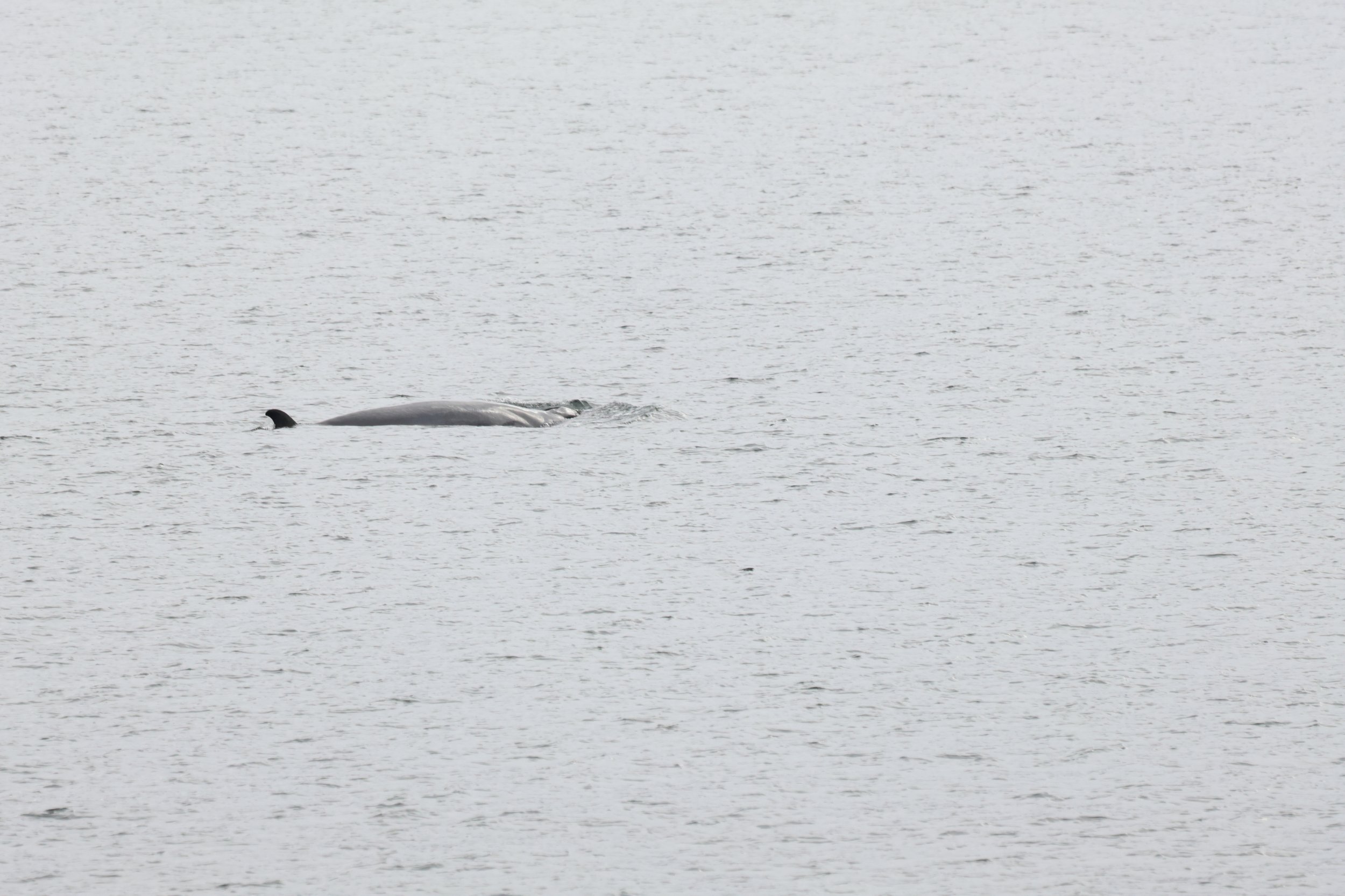 Tuesday, 30 April 2024