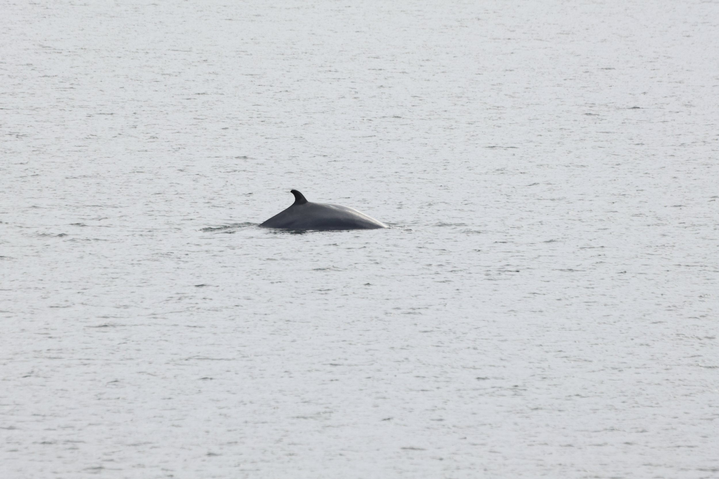 Tuesday, 30 April 2024