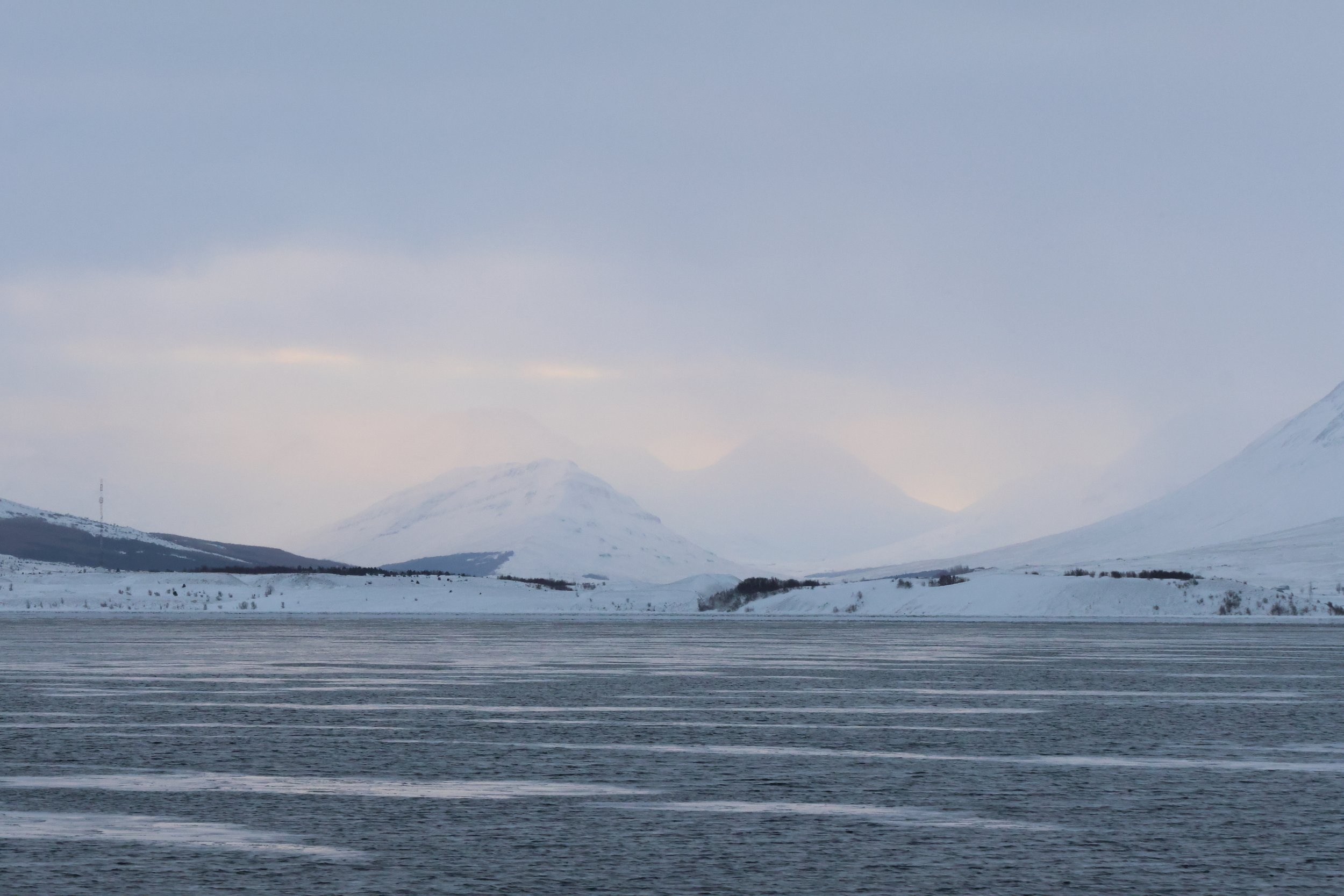 Wednesday, 8 January 2025