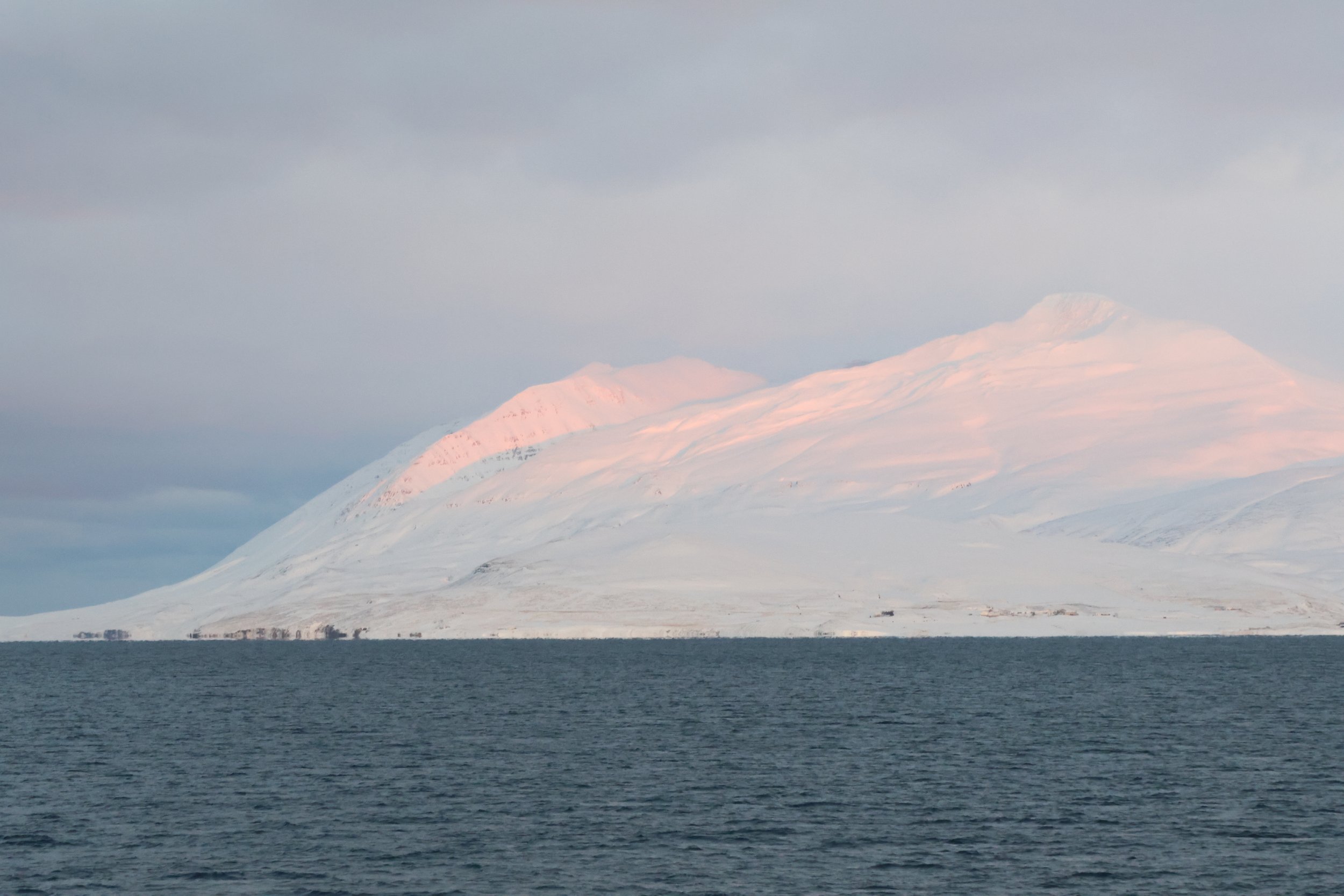 Wednesday, 1 January 2025