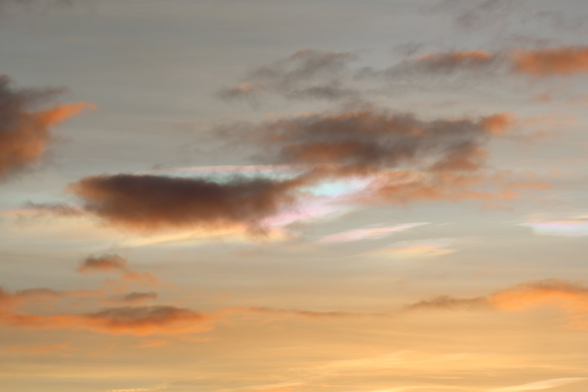 Wednesday, 1 January 2025