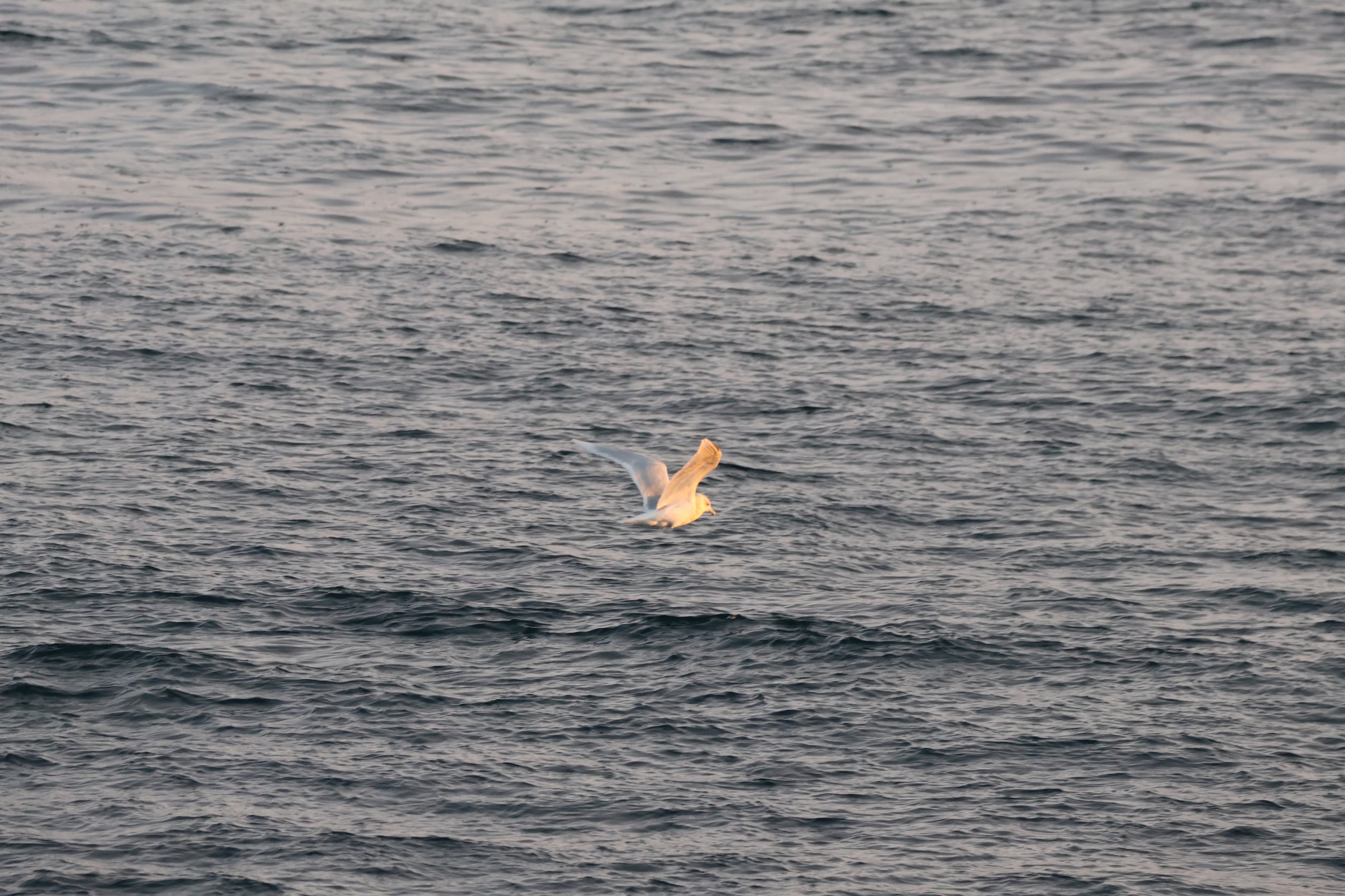 Wednesday, 1 January 2025